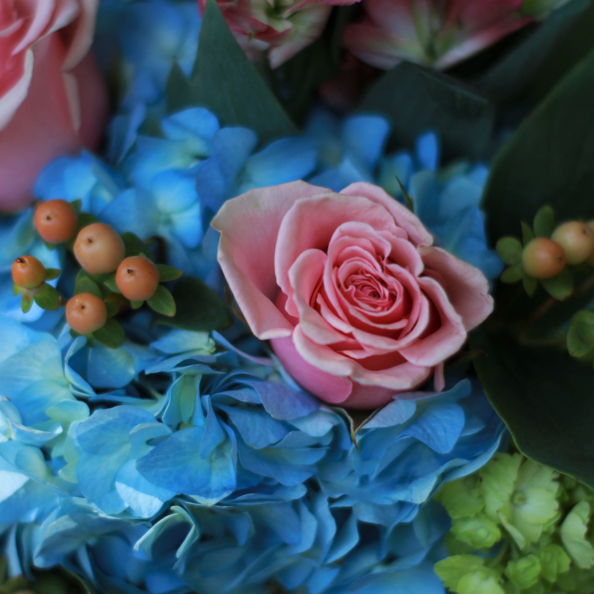 Pink roses with blue hydrangeas and berry accents, photo 5 of 5
