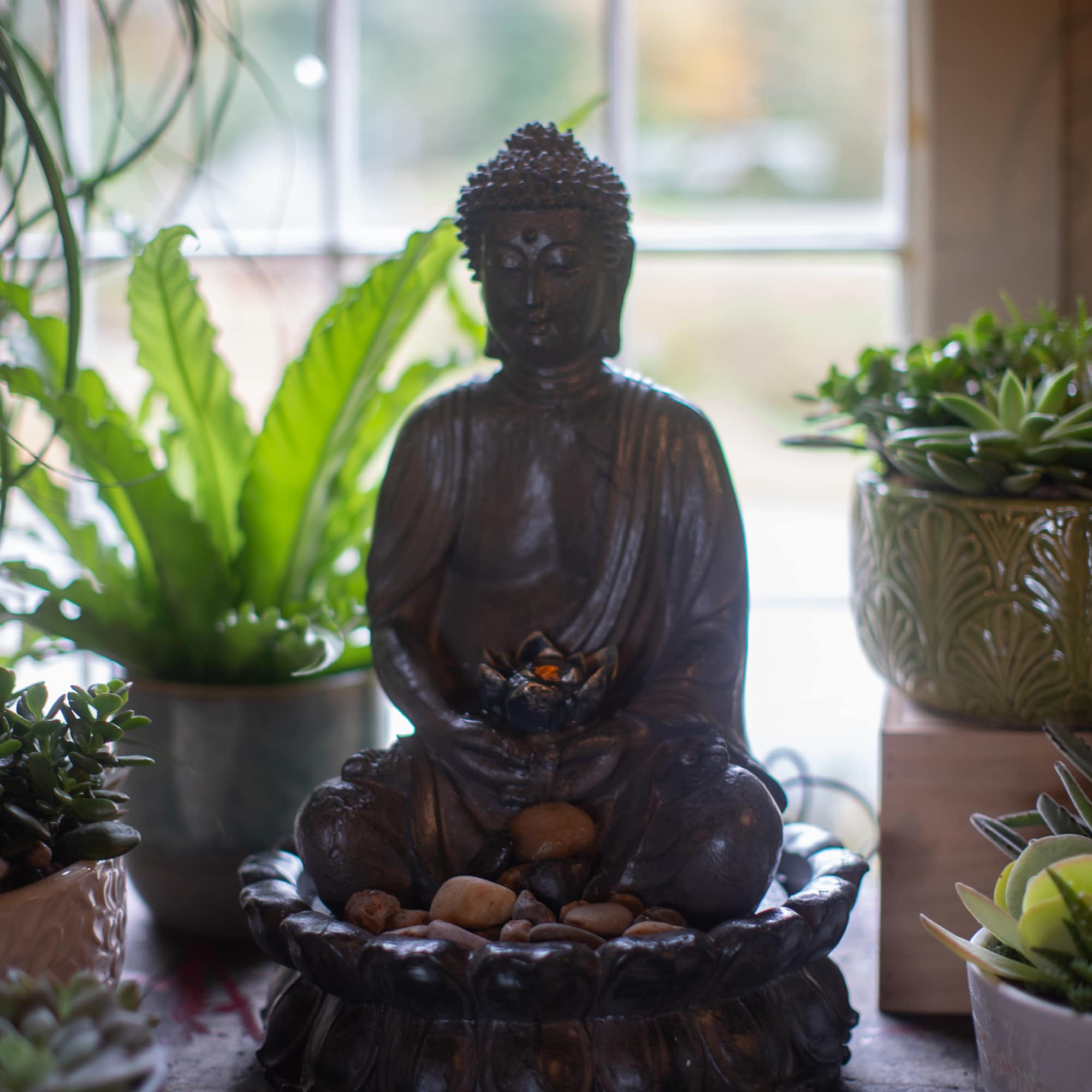 Buddha statue in a bowl with pebbles, surrounded by potted succulents and houseplants