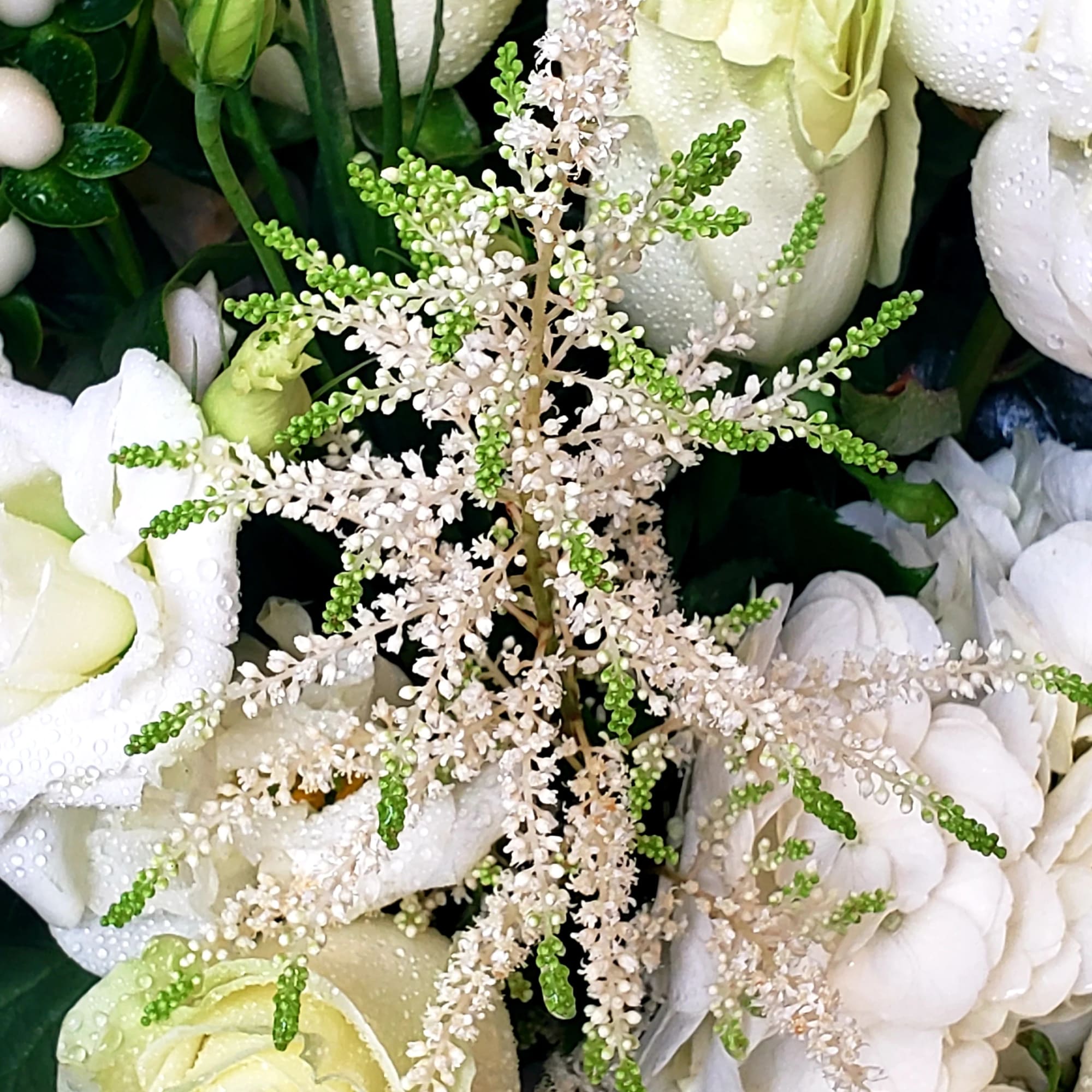 White roses and hydrangeas with green filler flowers