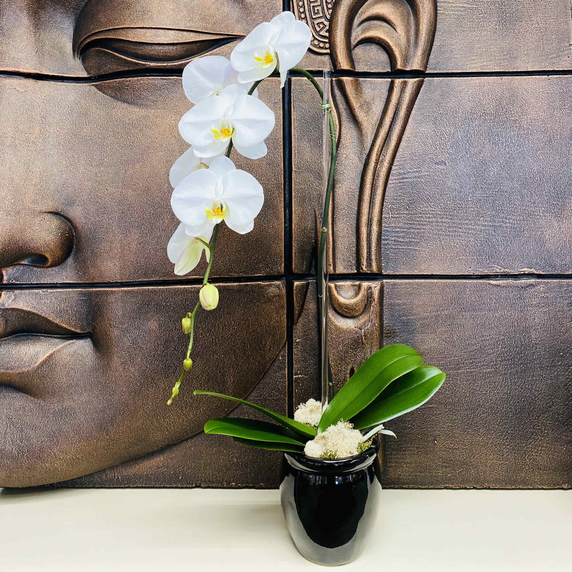 White orchid arrangement in a black vase with broad green leaves