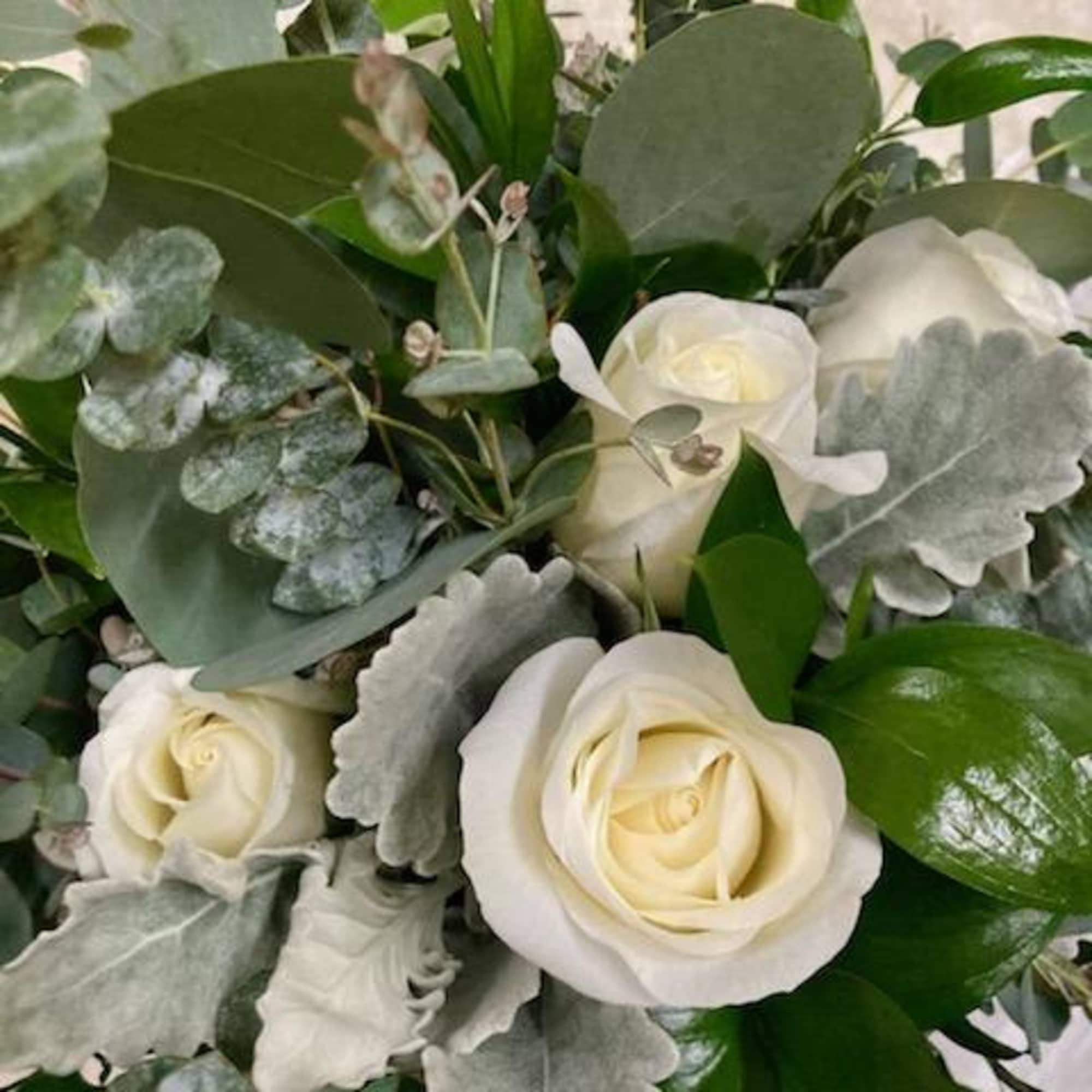 White roses with silver-green foliage in a bouquet