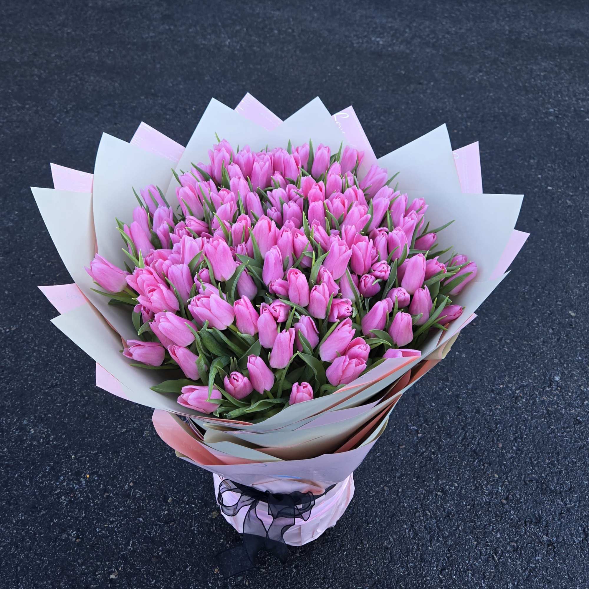 Bouquet of pink tulips wrapped in white and pink paper