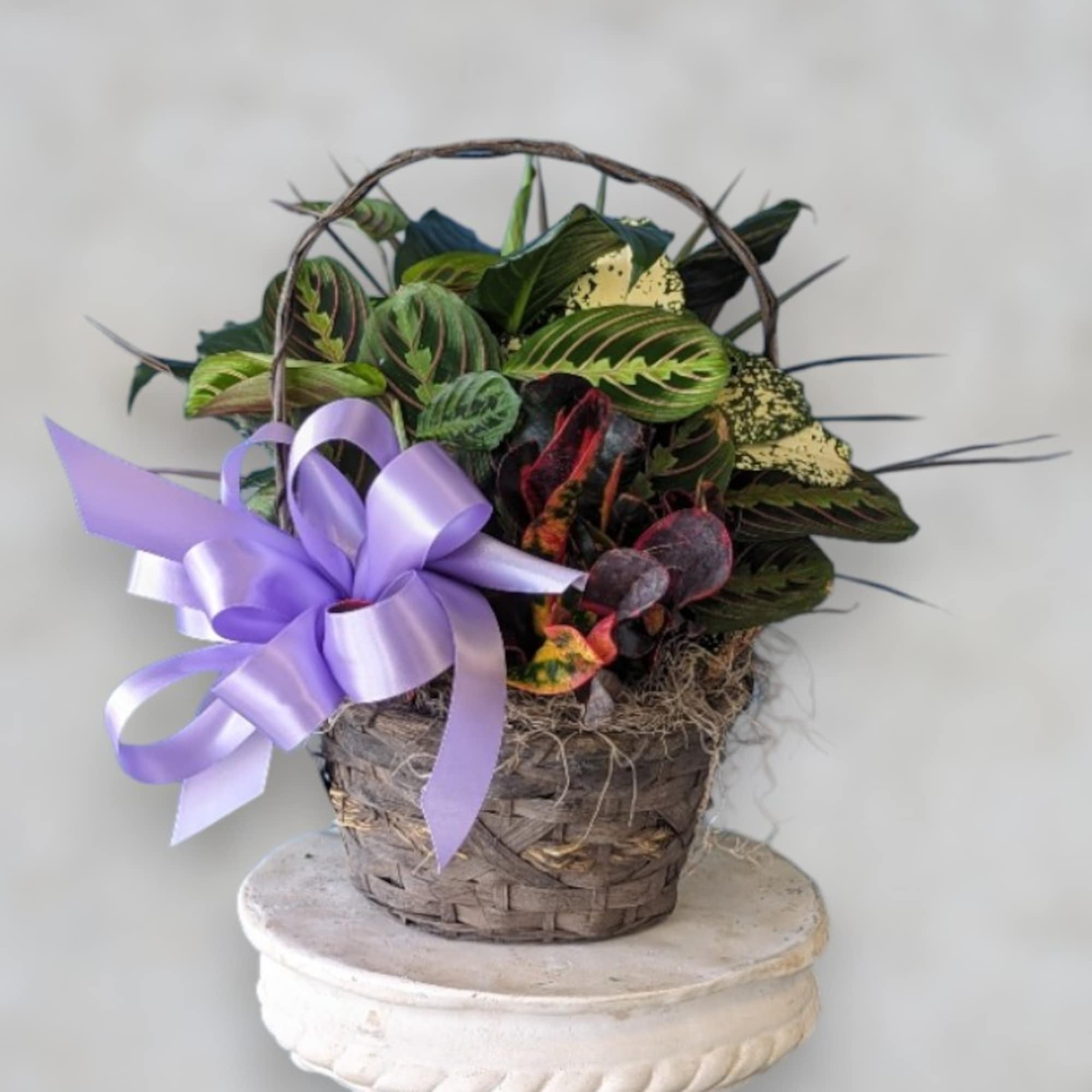 Basket of colorful potted foliage with a lavender ribbon bow