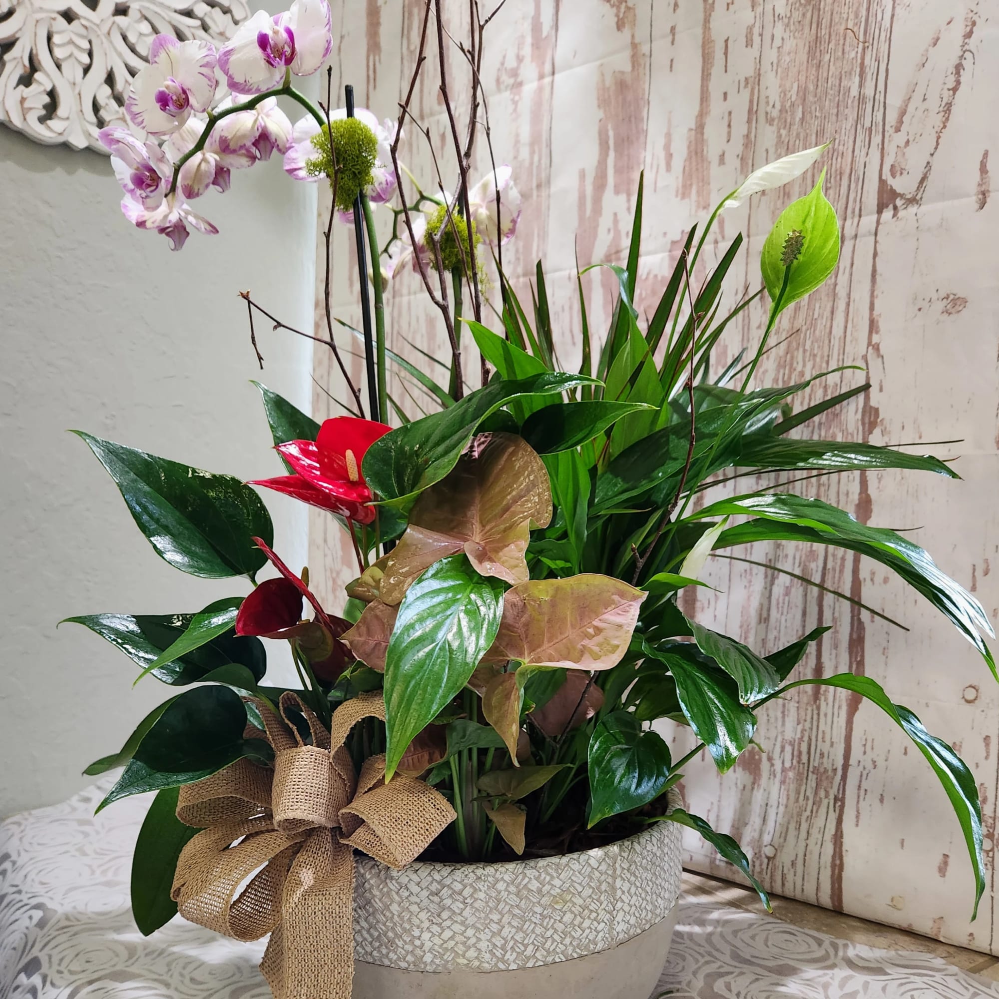 Tropical plant arrangement with orchids in a woven pot and burlap bow