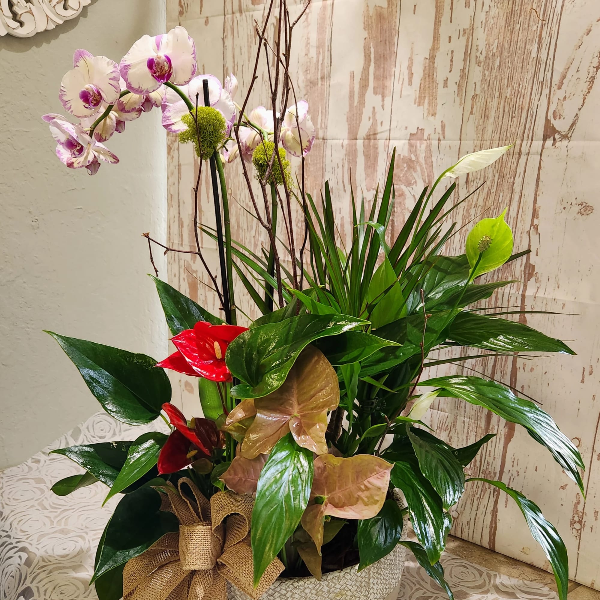 Tropical plant arrangement with orchids and red anthuriums in a woven pot