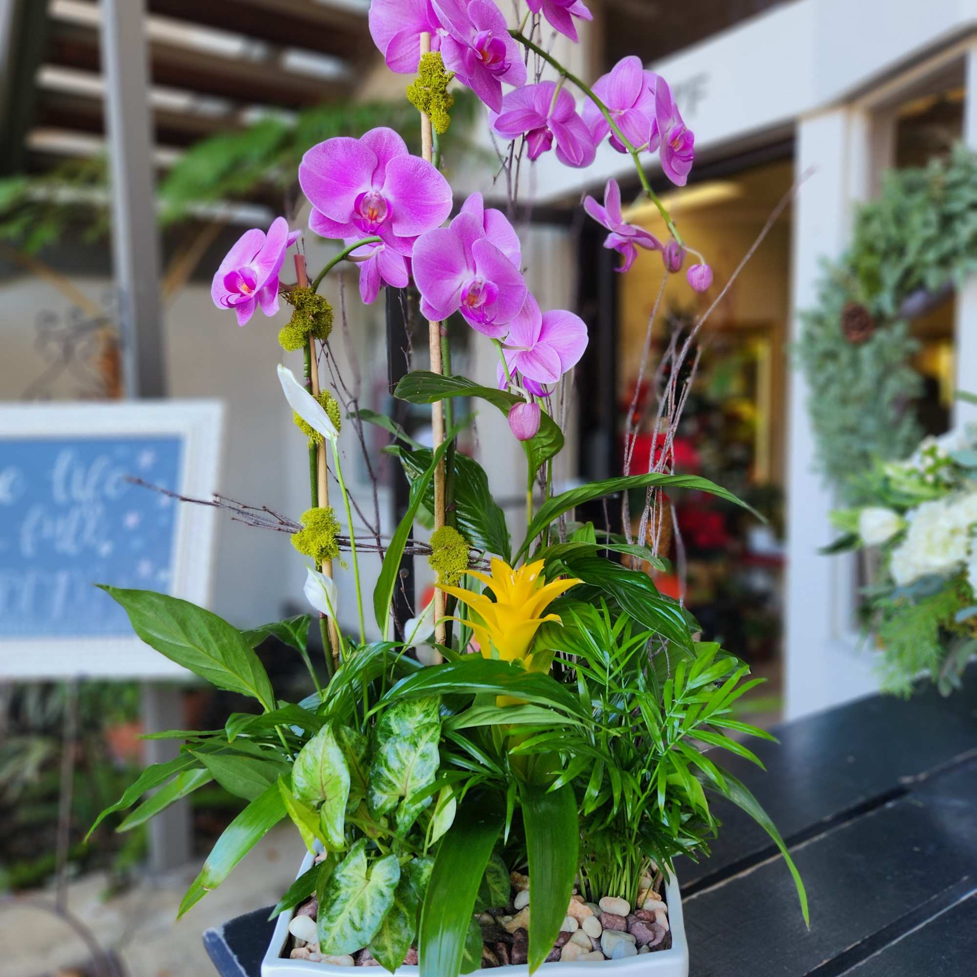 Pink orchids in a white rectangular planter with mixed greenery