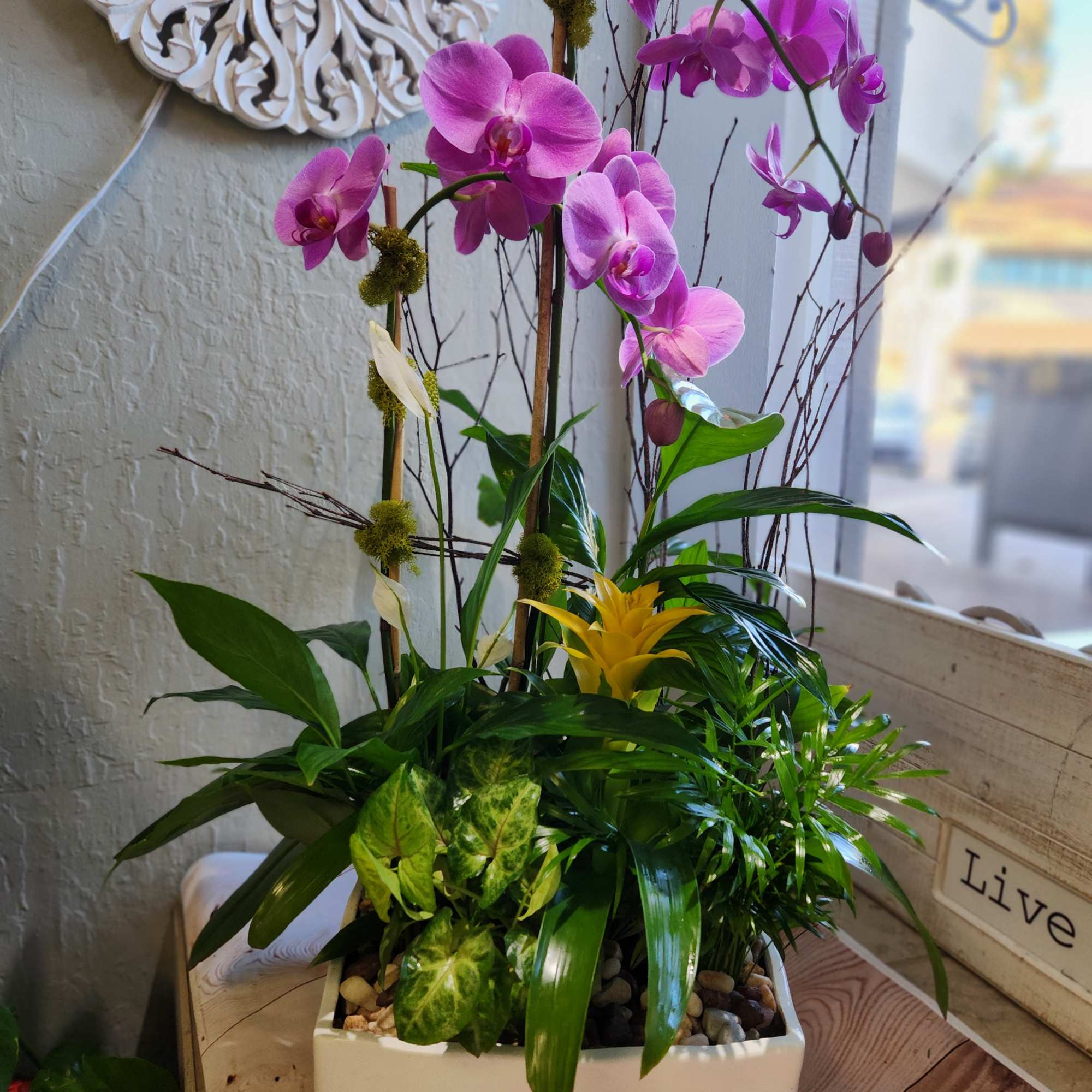 Pink orchids in a white rectangular planter with mixed tropical foliage