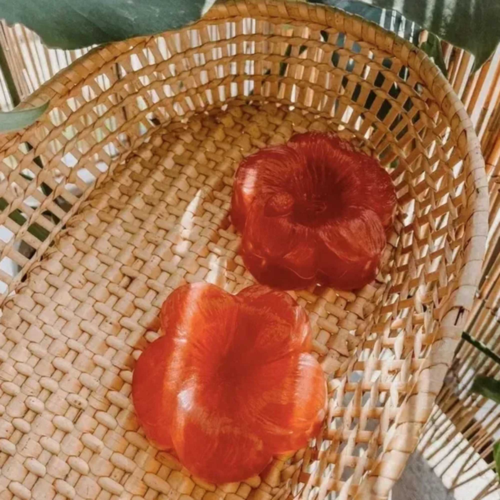 Two red flower heads in a woven basket
