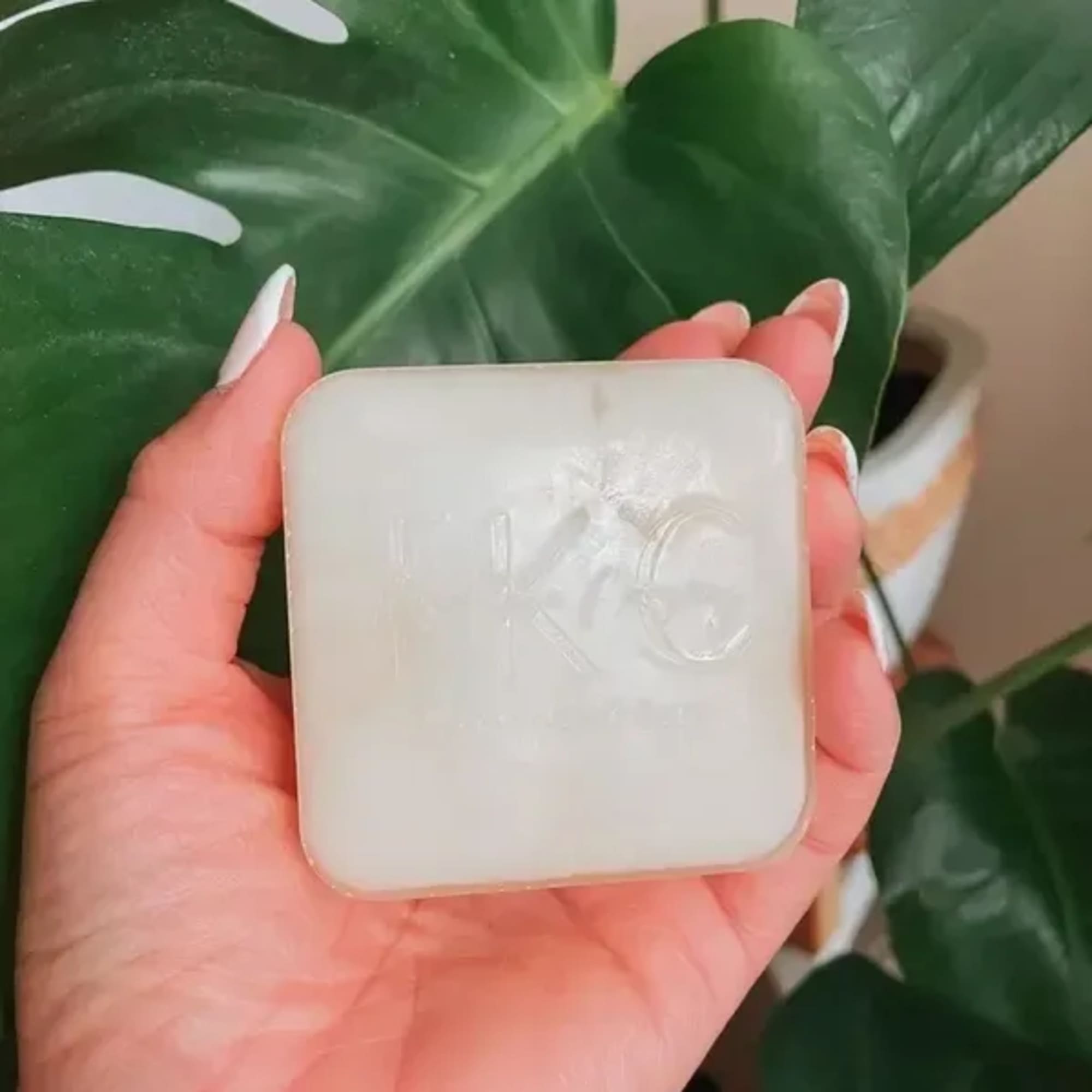 Hand holding a square white soap bar in front of a potted plant