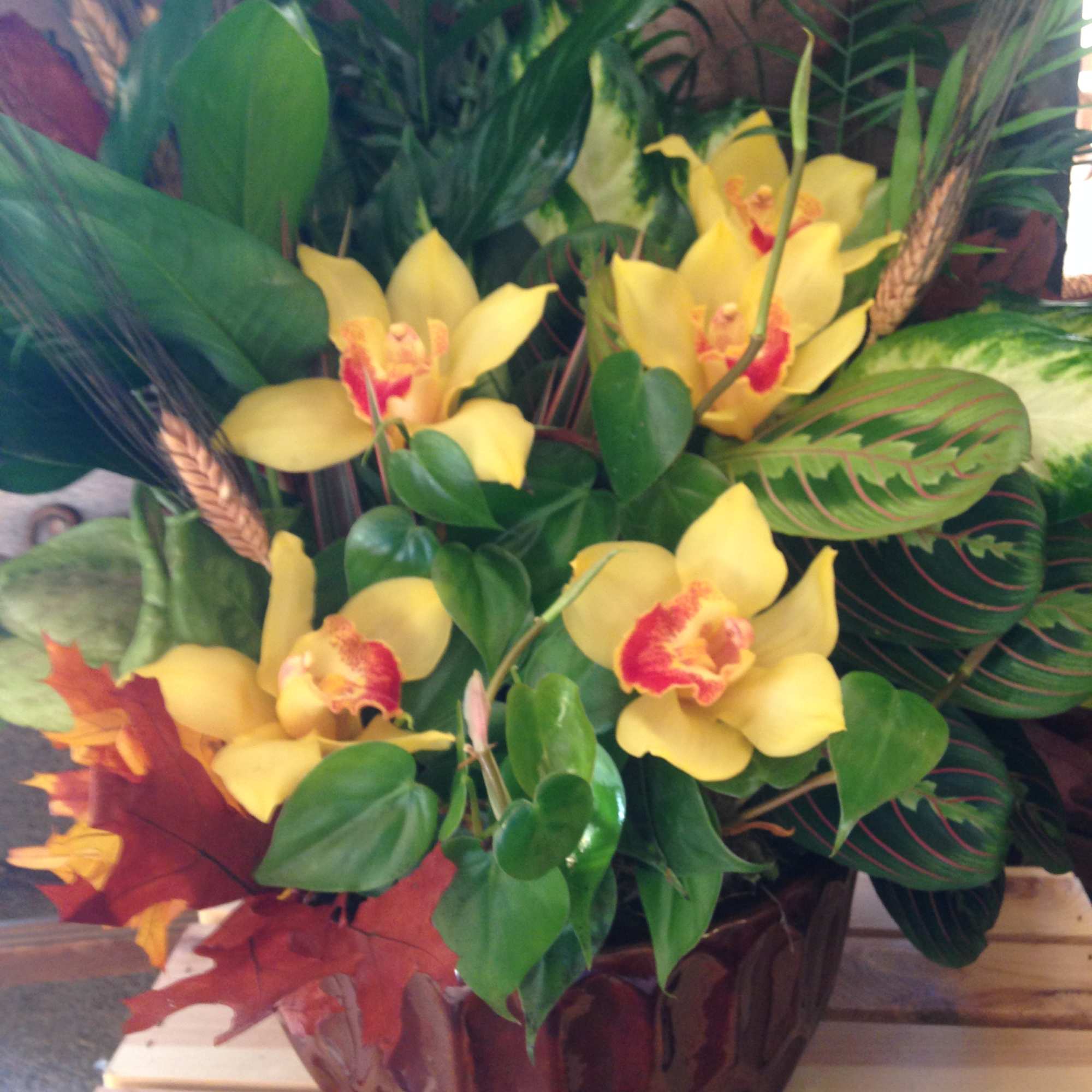 Yellow orchids arranged in a vase with mixed tropical foliage