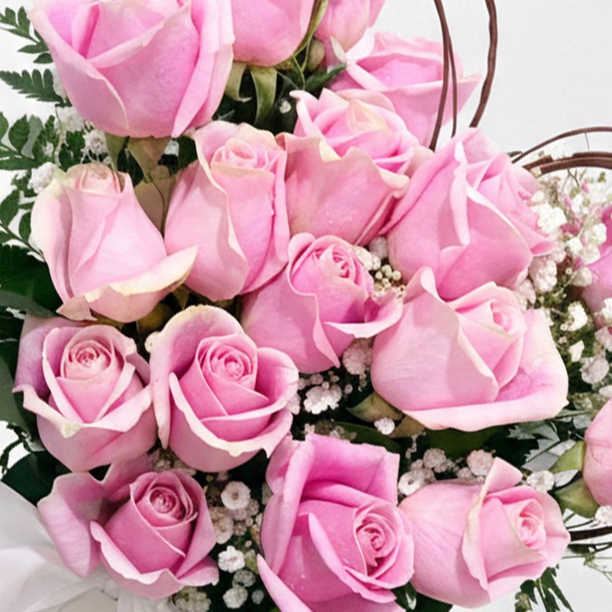 Bouquet of pink roses with small white filler flowers
