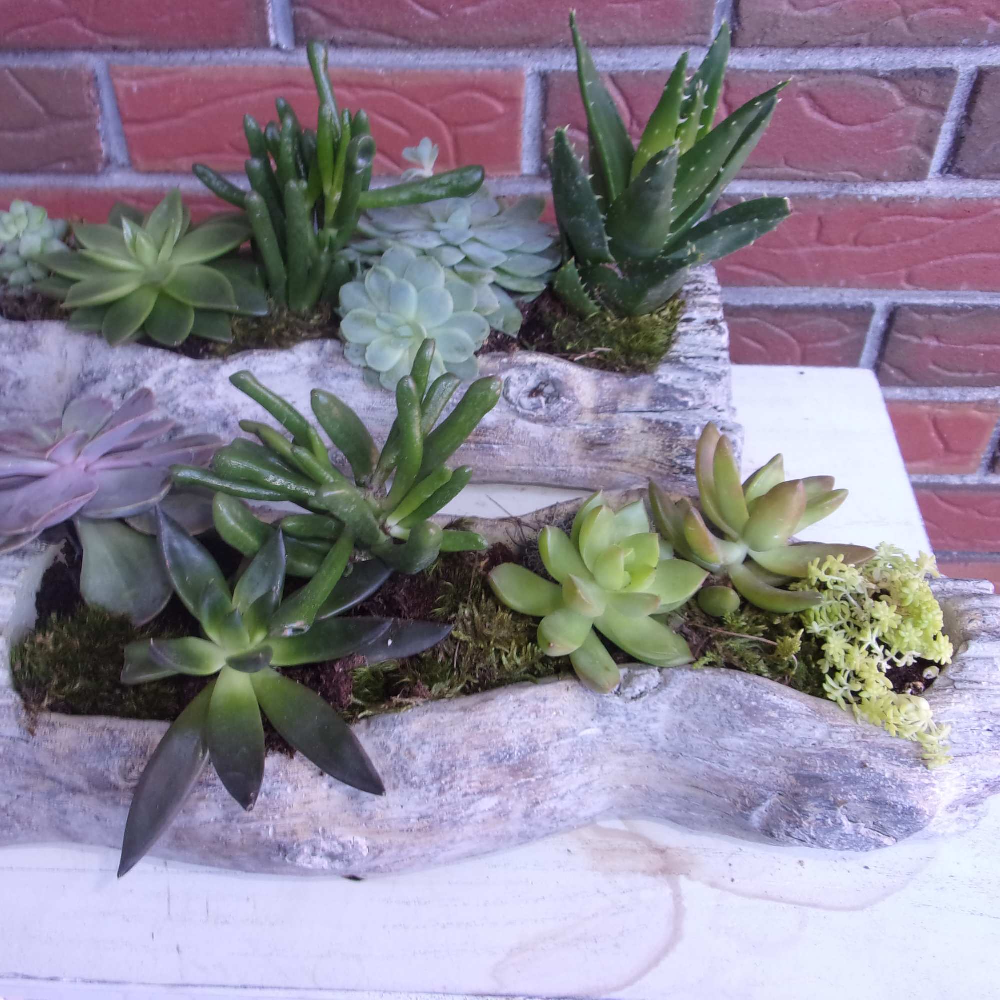 Two rustic planters filled with assorted succulents on a white surface