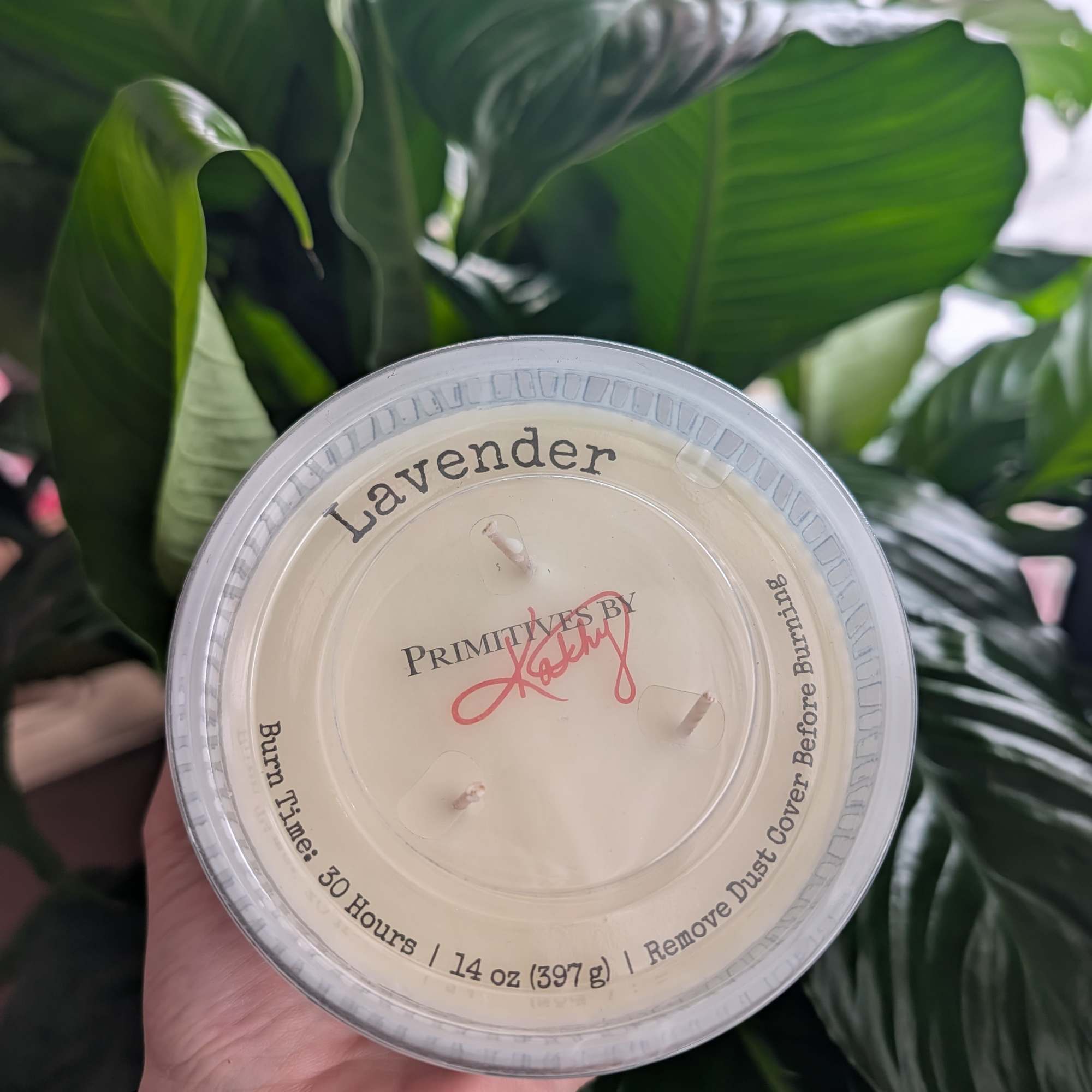 Hand holding a lavender-scented candle in a clear plastic cup