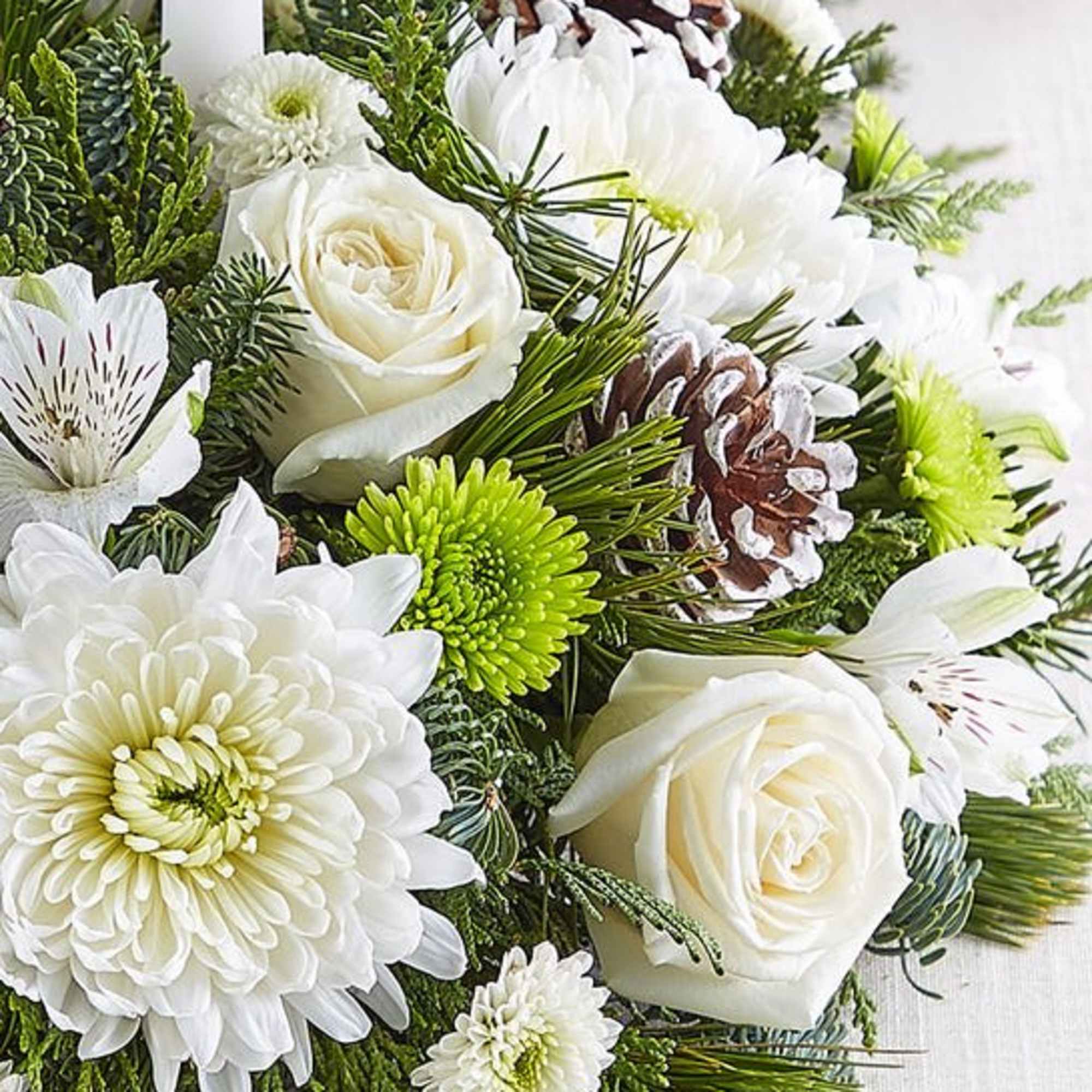 White roses and chrysanthemums with pinecones and evergreen accents