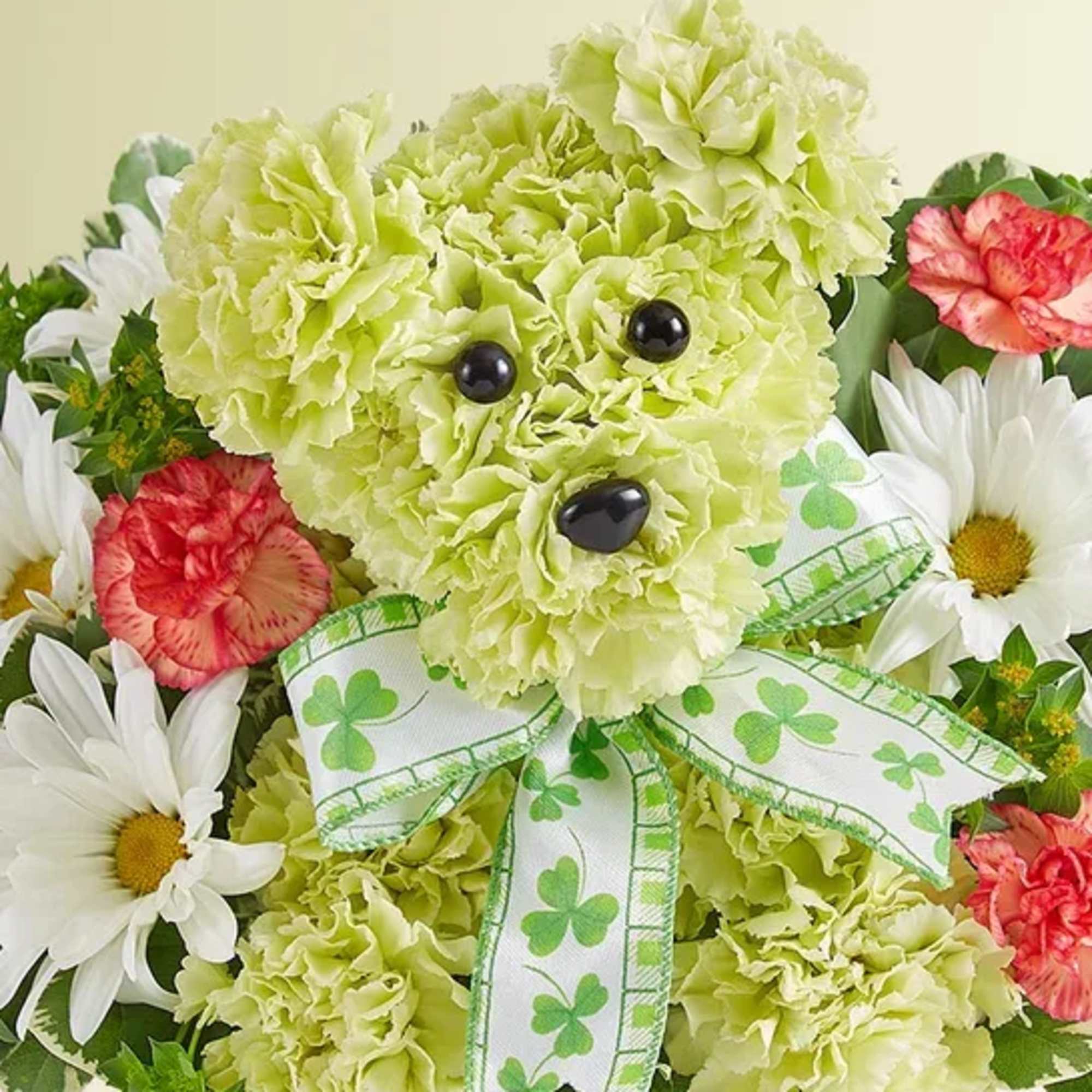 Green carnation teddy bear with daisies and a shamrock ribbon
