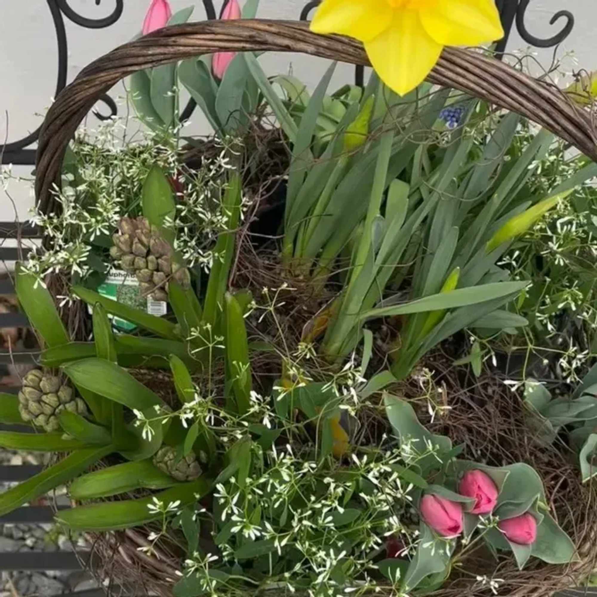 A cheerful basket overflowing with seasonal flowering annual plants, thoughtfully curated by, photo 3 of 3