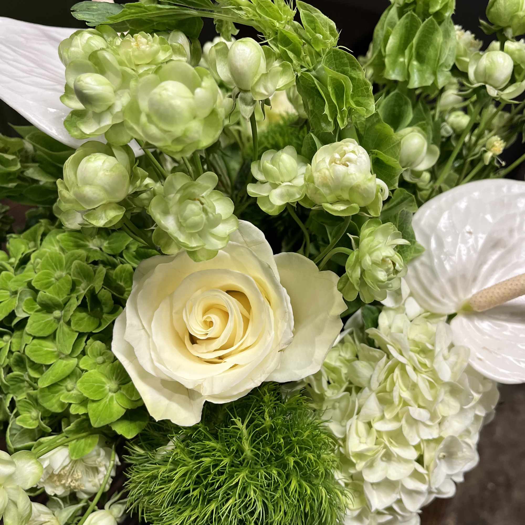 The Bianca is a refined floral arrangement featuring premium white blooms and