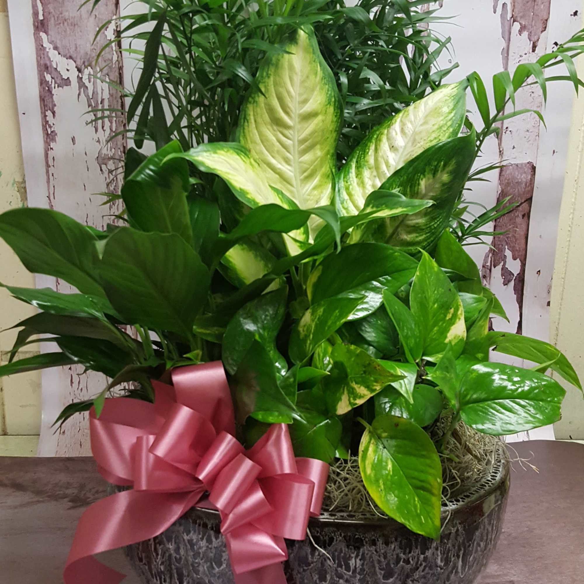 A long lasting, lush green assortment of assorted tropical foliage plants. THE