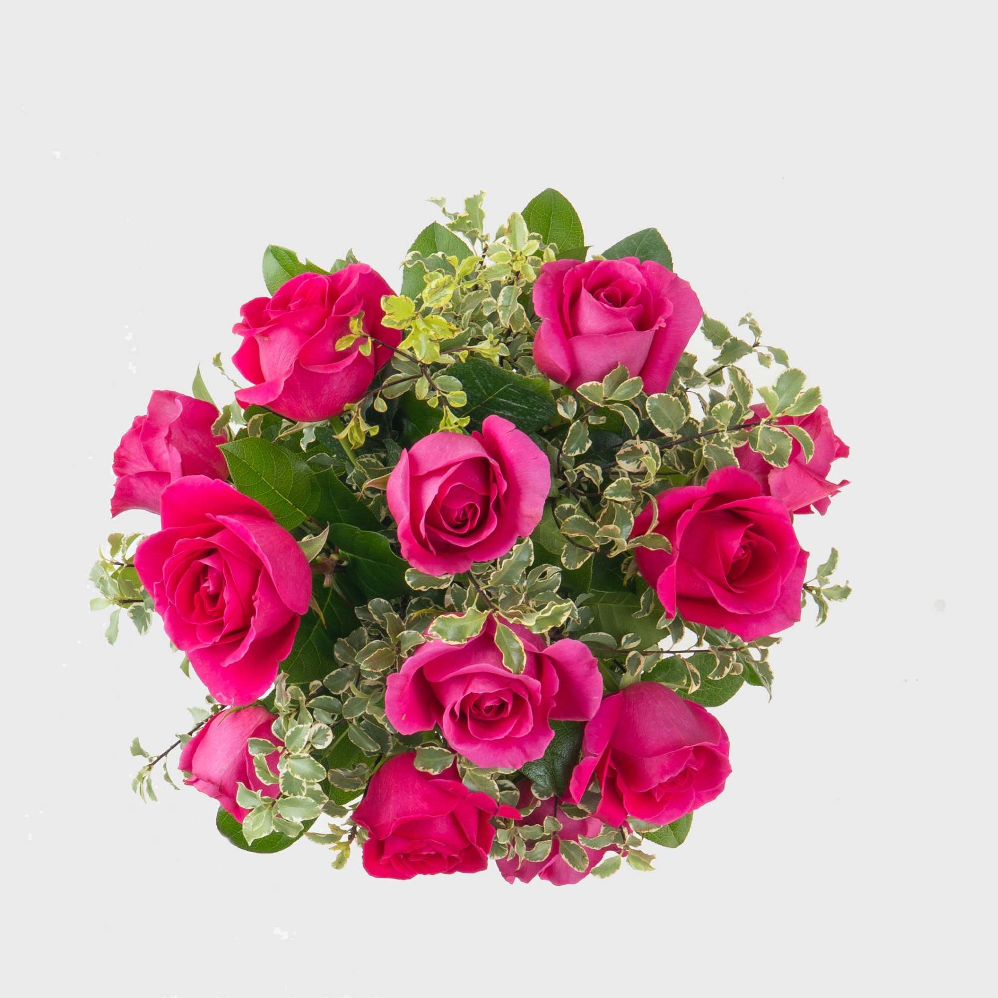 Bouquet of hot pink roses with variegated greenery