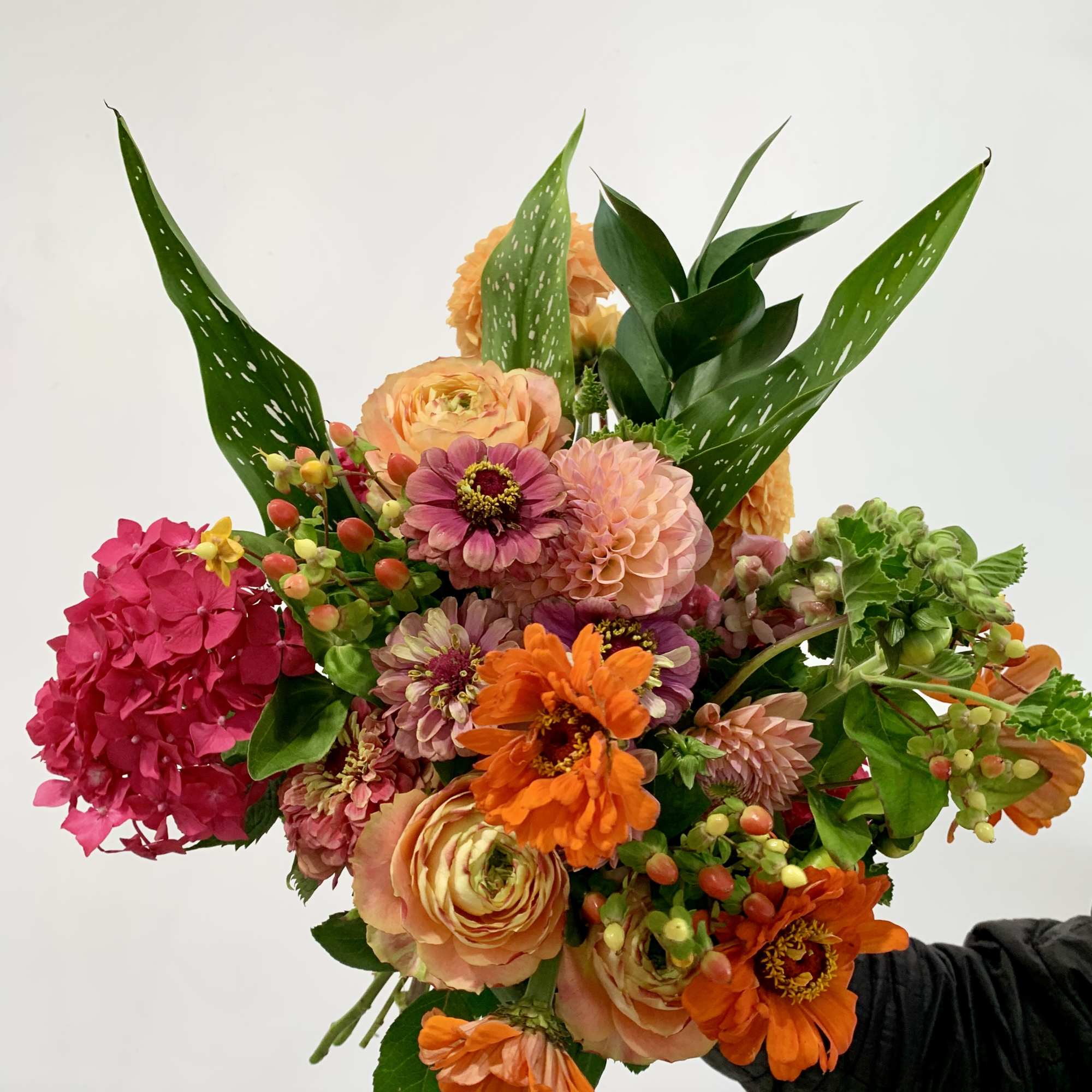 *DESIGNERS CHOICE *
Premium blooms, paper wrapped bouquets bursting with the best that, photo 2 of 5