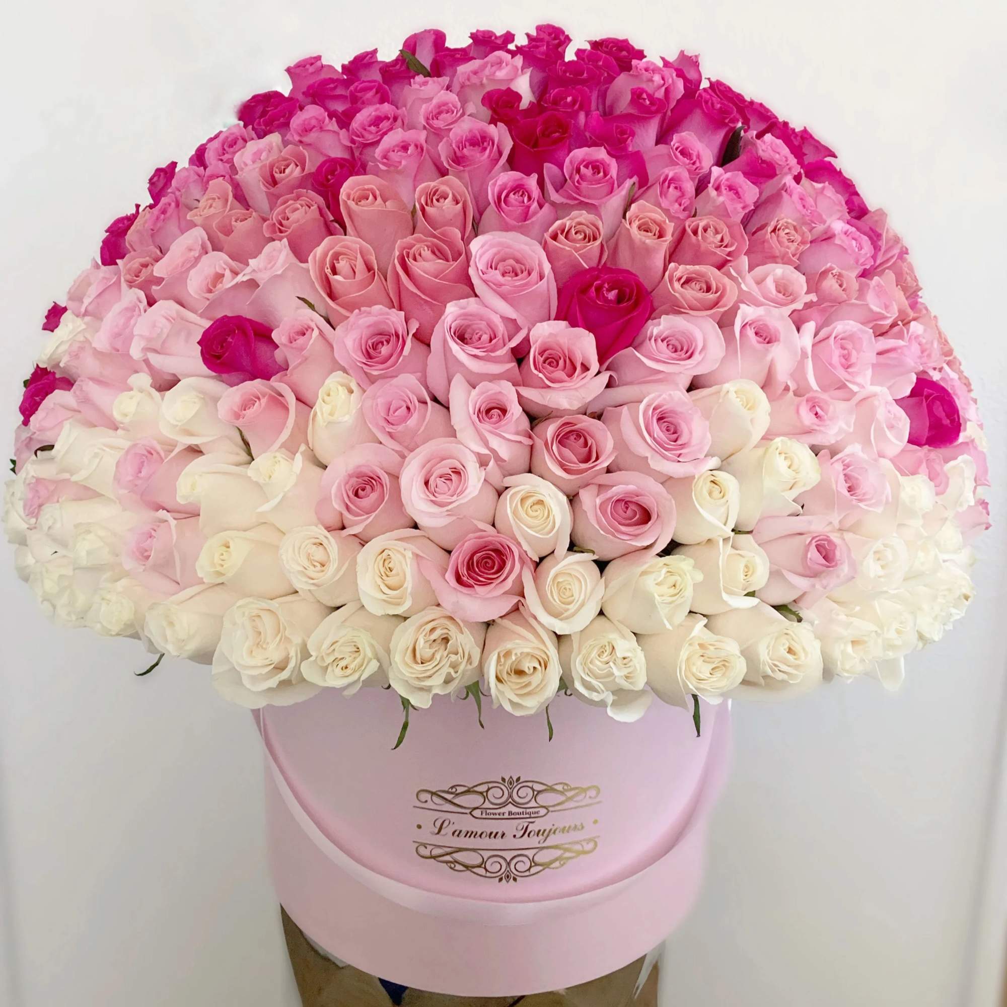 Large round hat box overflowing with white to hot pink roses arranged in an ombre dome.