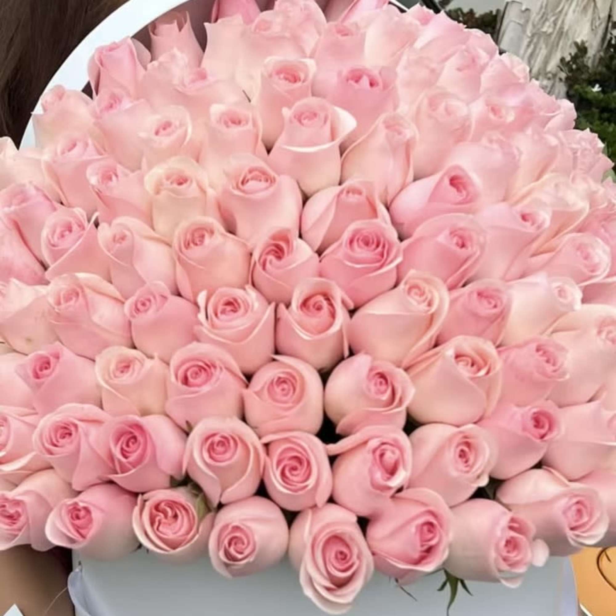 Large round arrangement of tightly packed light pink roses in a white hat box