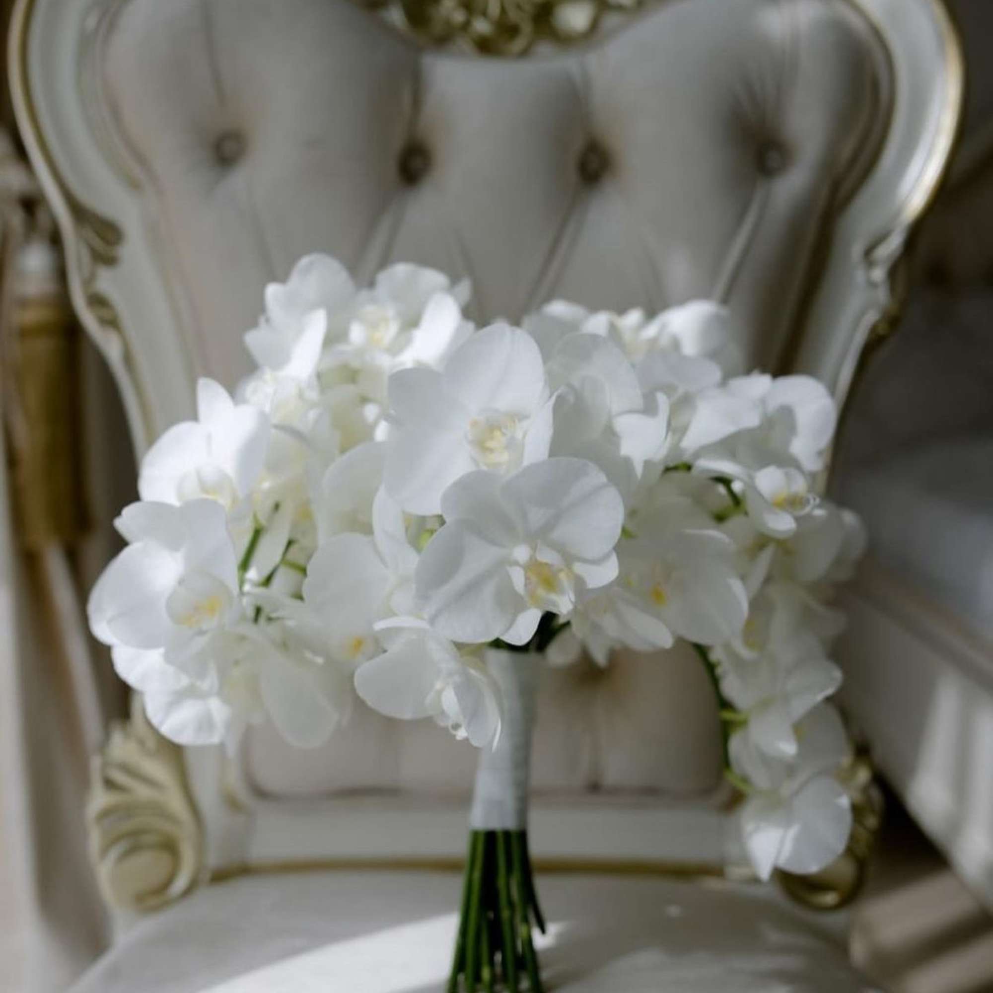 White orchid bouquet on an ornate upholstered chair