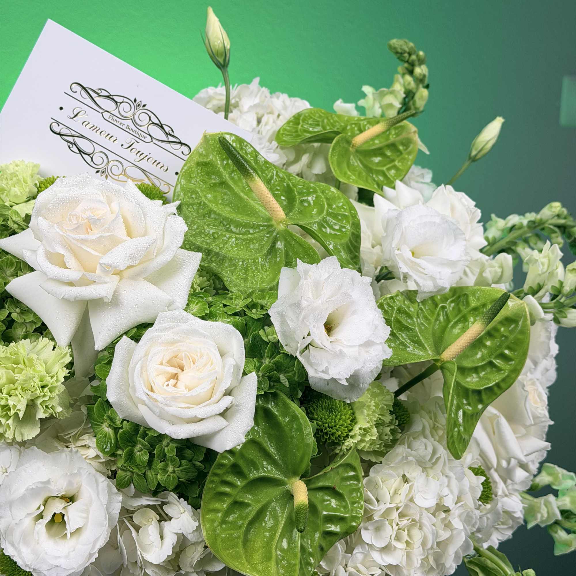 White roses and green anthuriums in a basket arrangement