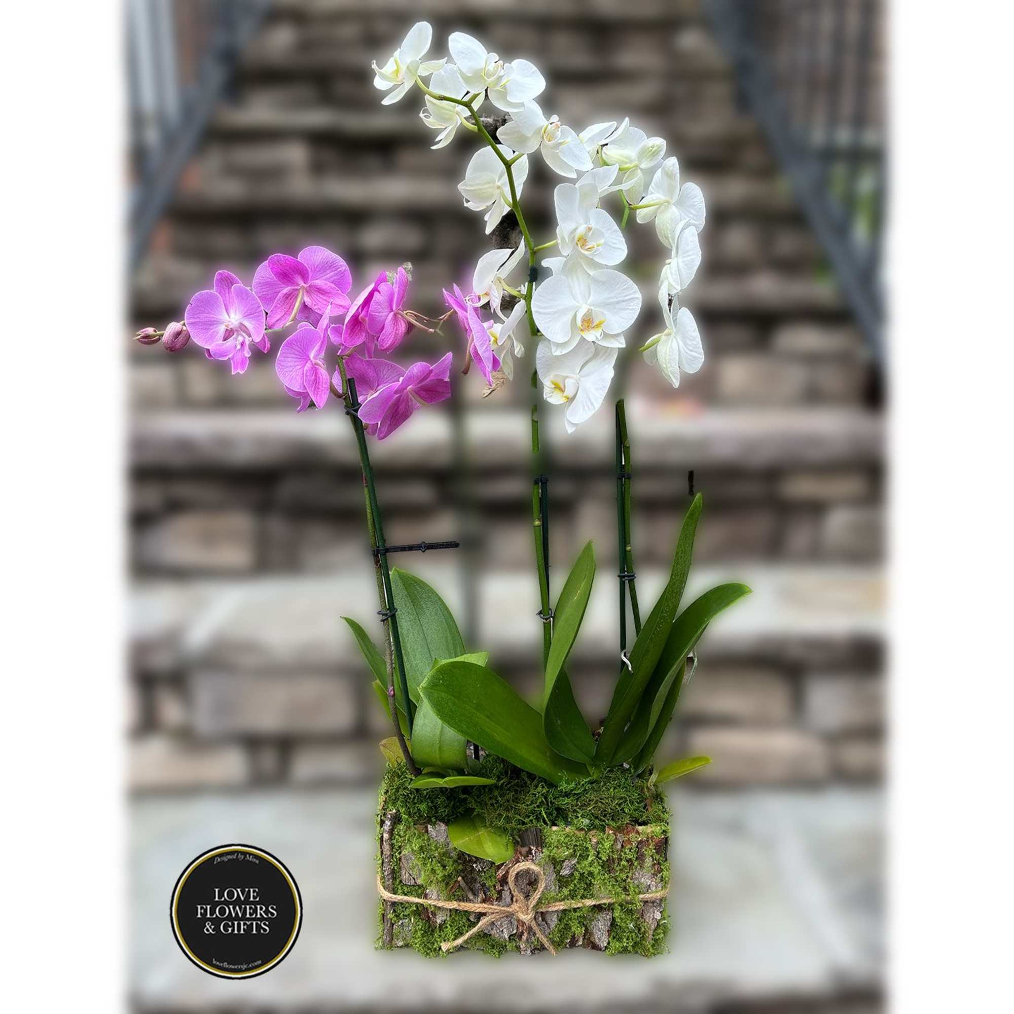 Orchids arranged in a handmade moss, bark box perfect for unique gift.