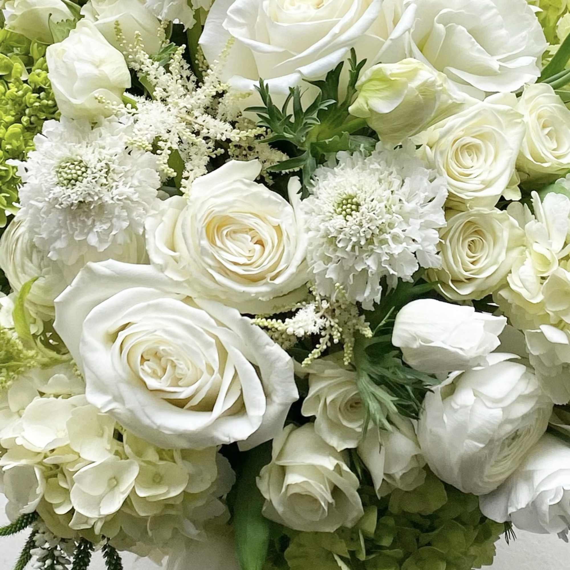 White roses and hydrangeas in a dense bouquet