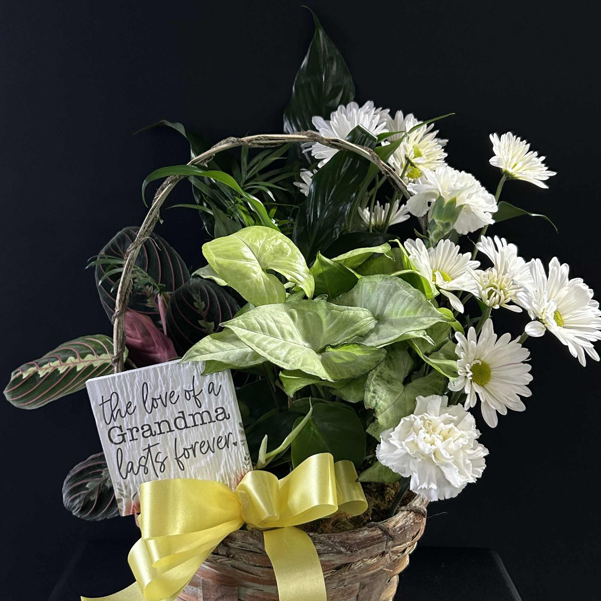 Basket arrangement of white daisies and green houseplants with a yellow ribbon