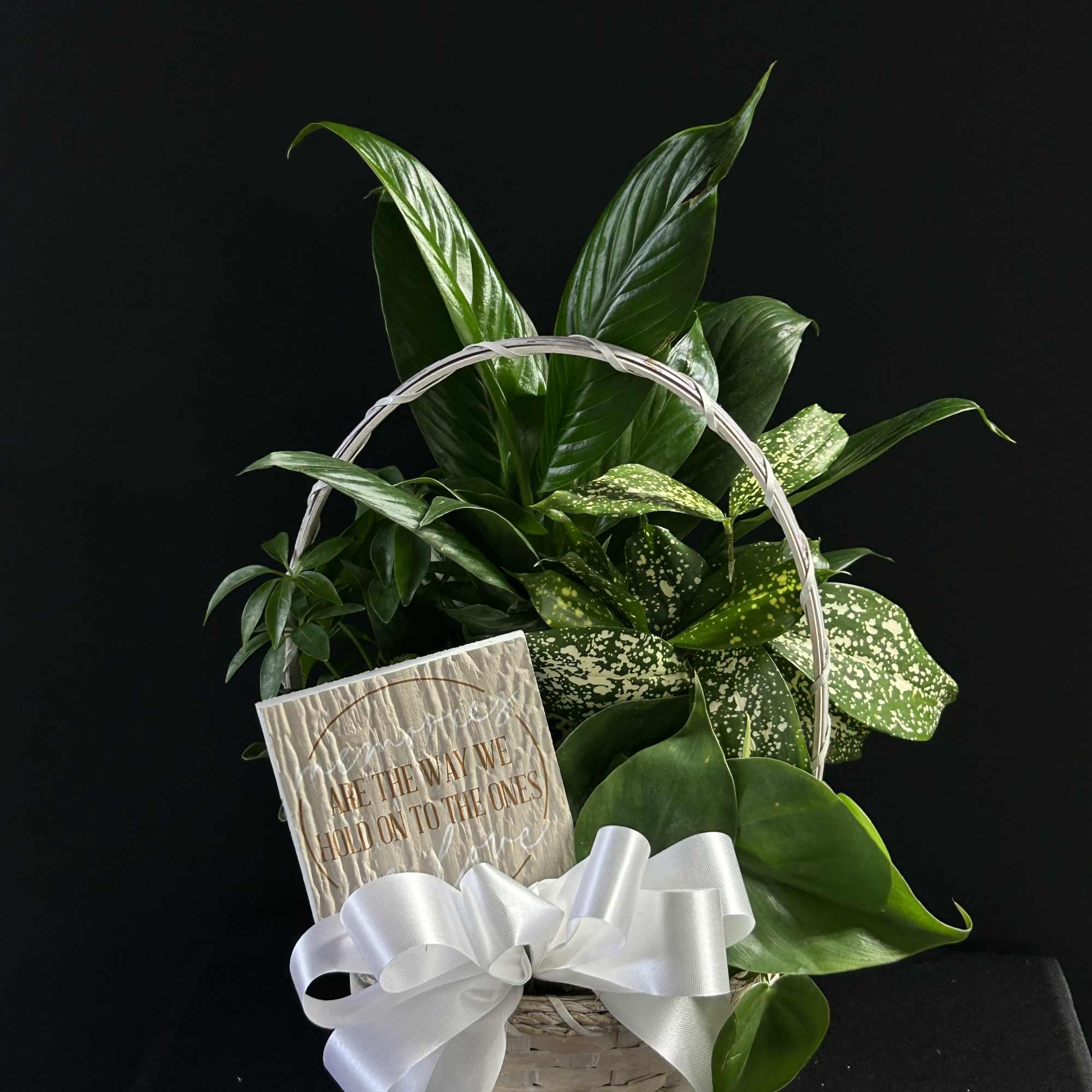 Basket of green houseplants with a white ribbon and card