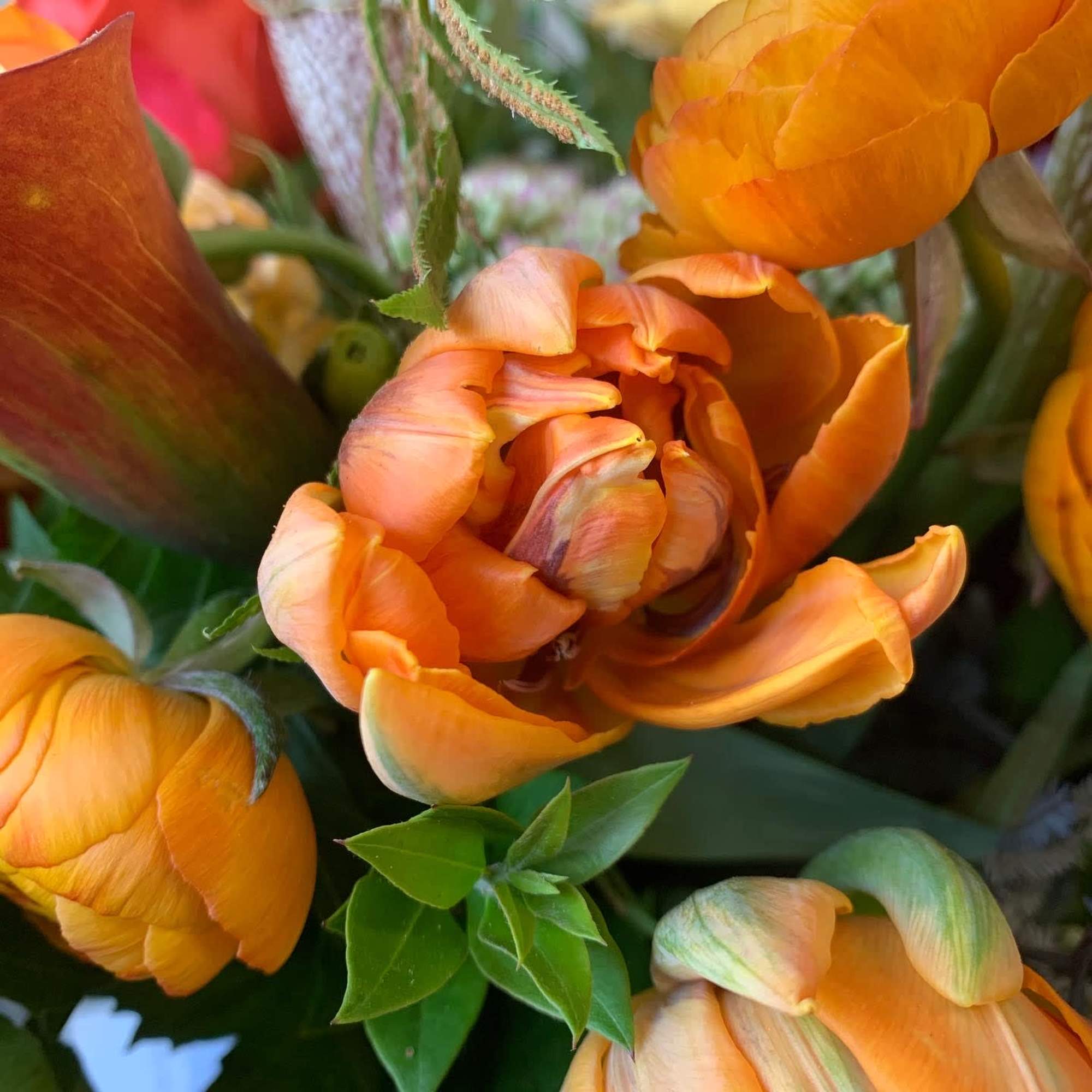 A collection of seasonal orange hues - calla lilies, ranunculus and , photo 2 of 4