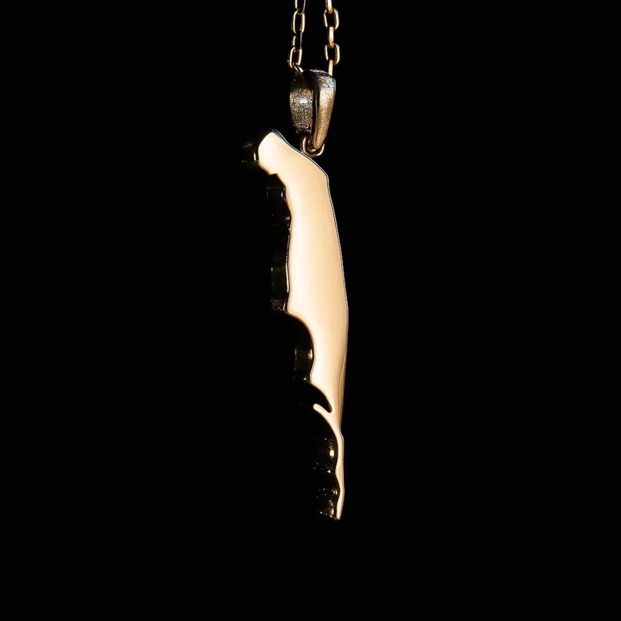 Gold-toned pendant necklace with a long abstract charm on a black background