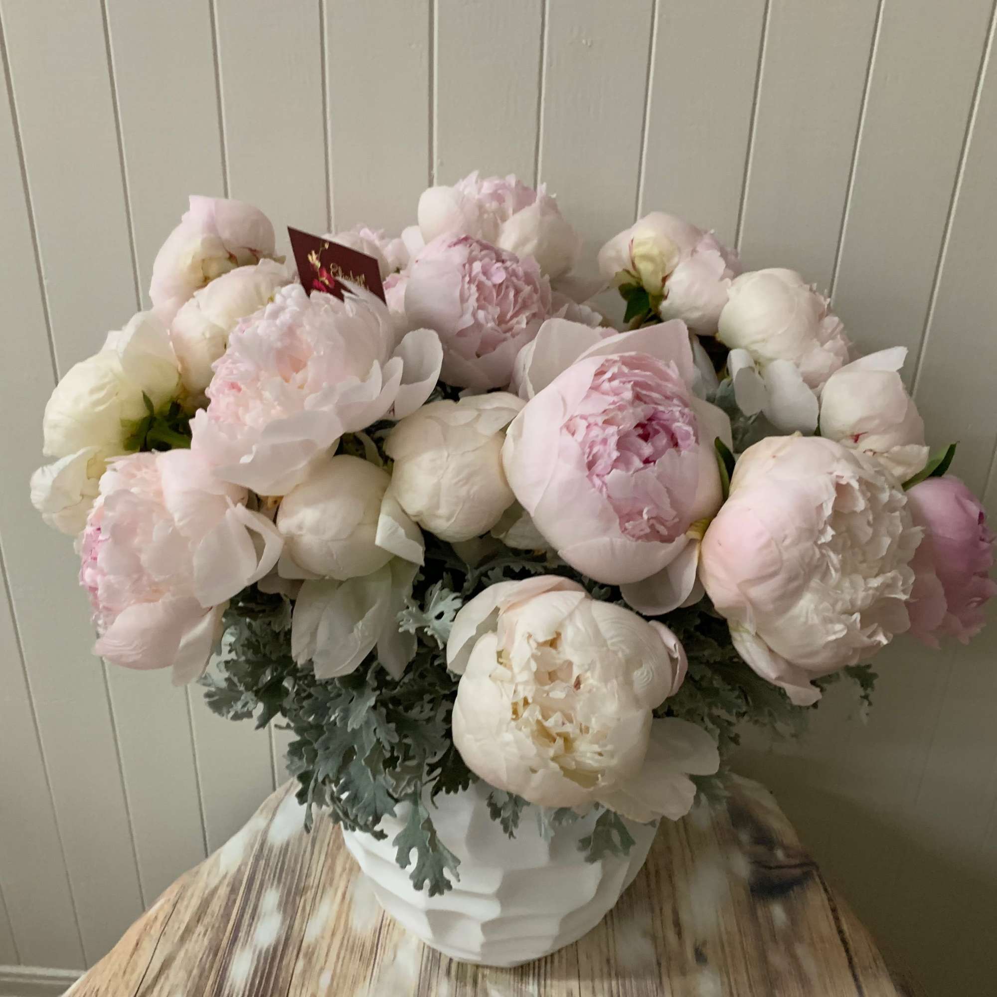 Large bouquet of pale pink and white peonies in a white vase