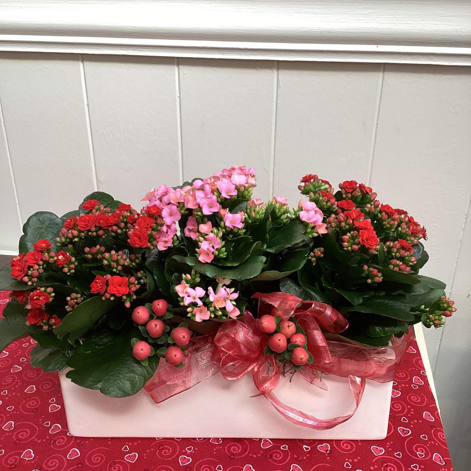 Pink and red flowering plant arrangement in a white box with ribbon
