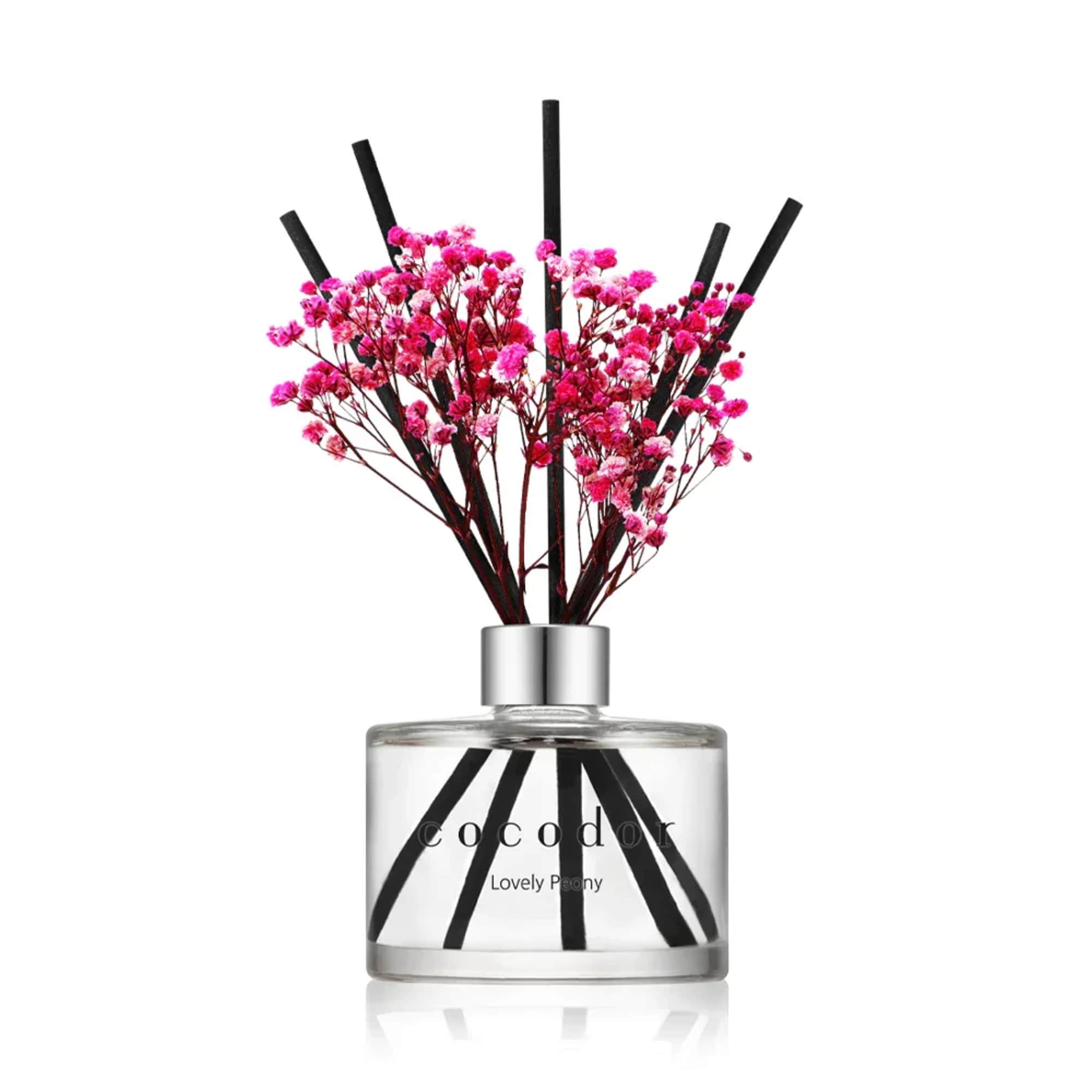 CONTENTS
Diffuser 200ml / 6.7oz + Reed Stick 5pcs + Preserved Flower
Elegant glass