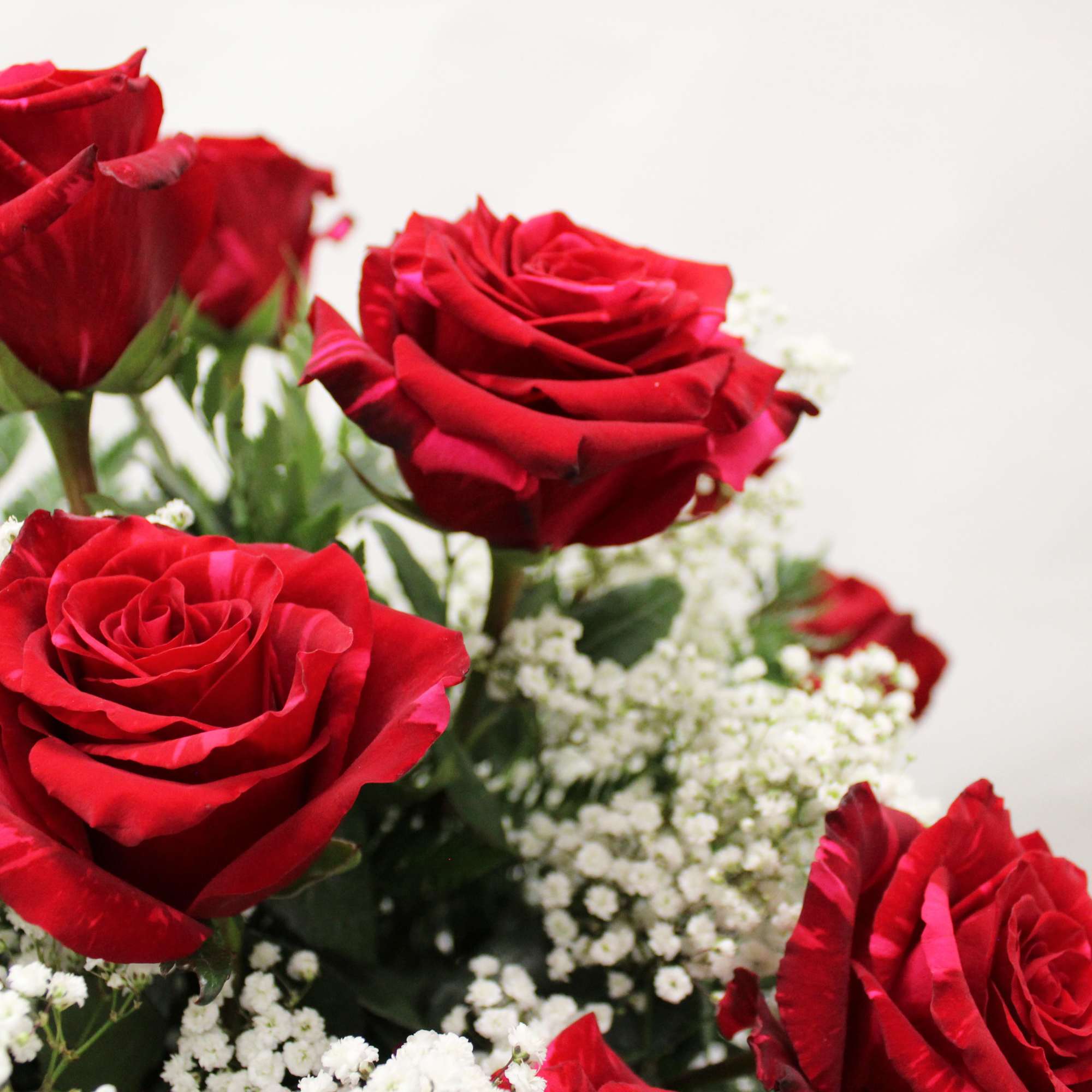 Arrangement of red roses with clusters of small white filler flowers