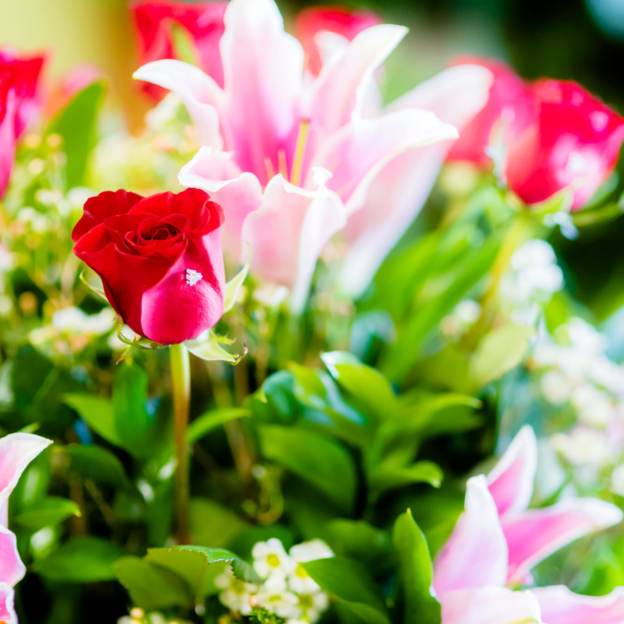 Bouquet of red roses and pink lilies