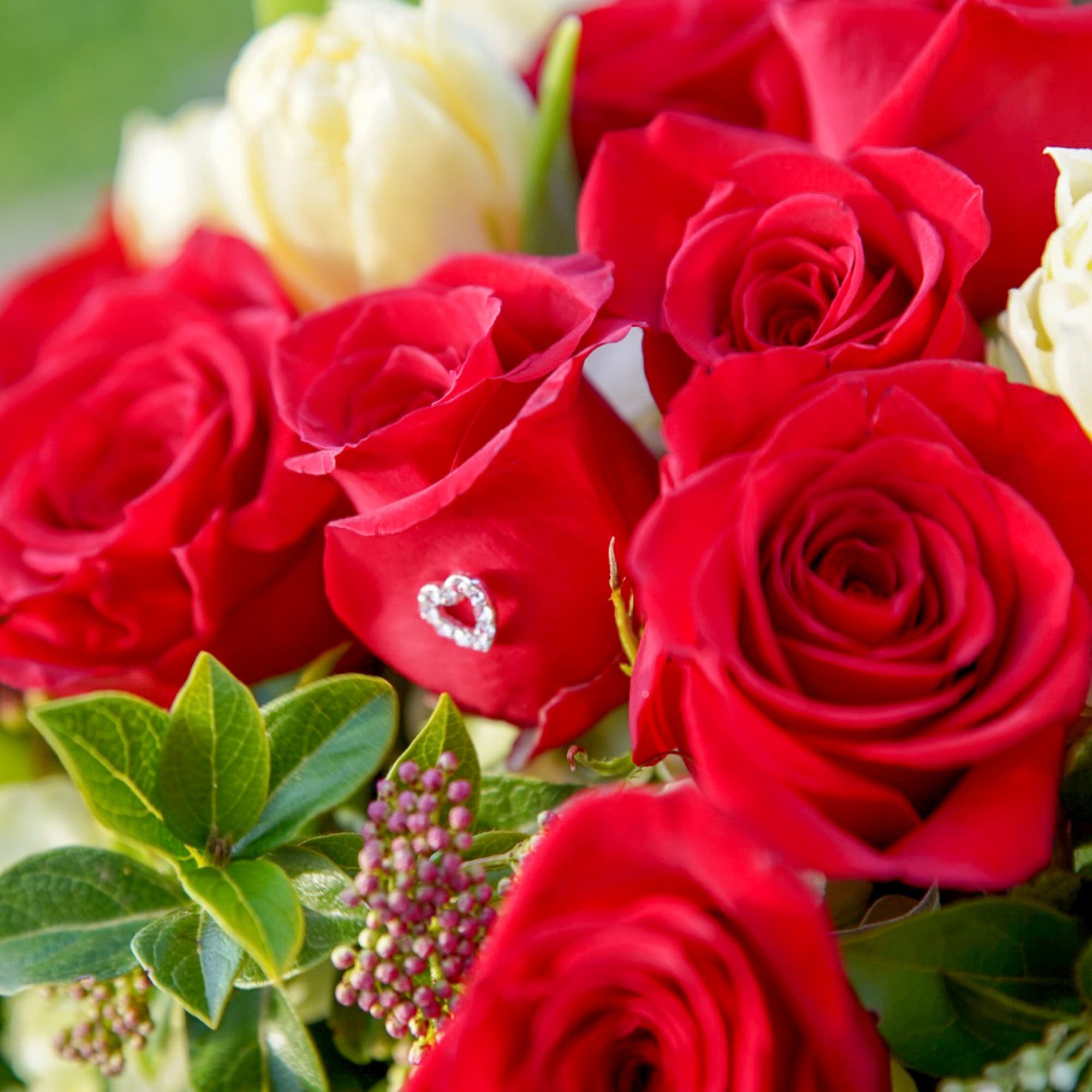 Close-up bouquet of red and white roses with a small heart accent