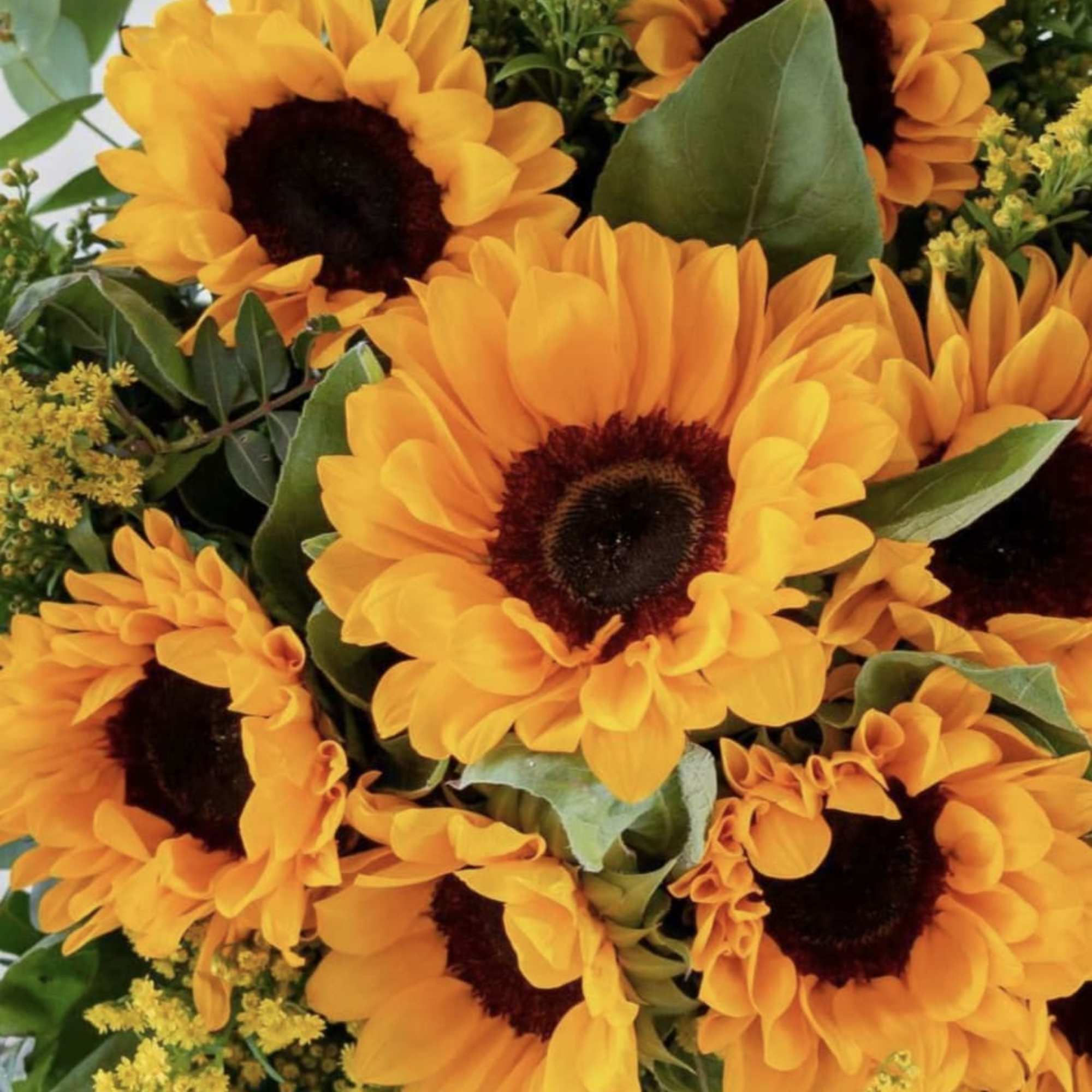 Bouquet of orange sunflowers with yellow filler flowers