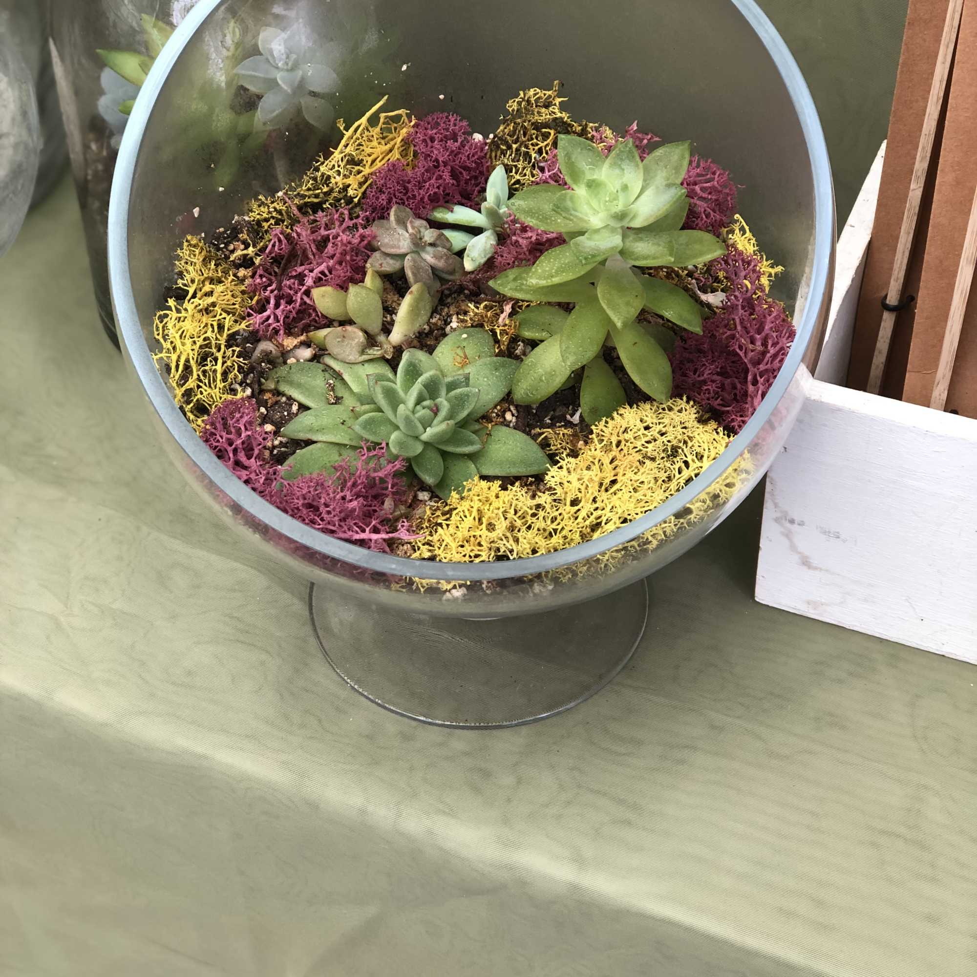 Succulent arrangement in a round glass bowl on a pedestal stand