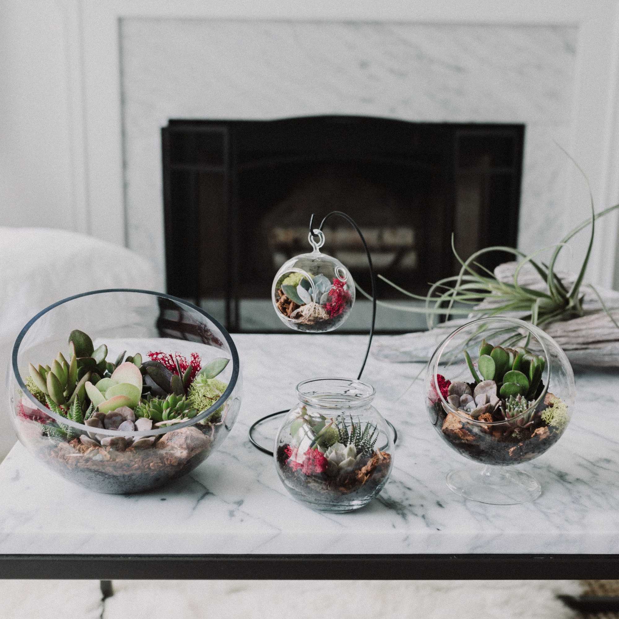 Succulent terrariums in glass bowls and hanging globes on a table