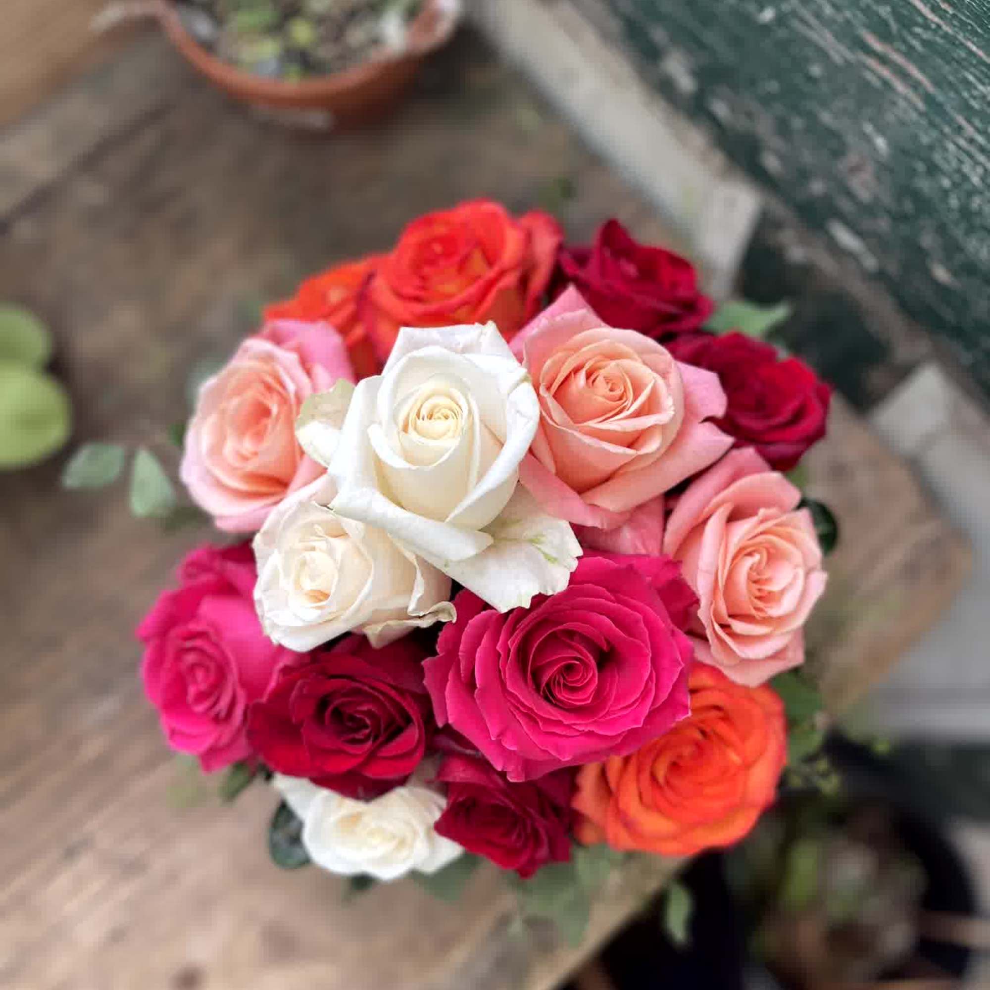 Bouquet of multicolored roses in pink, white, red, and orange