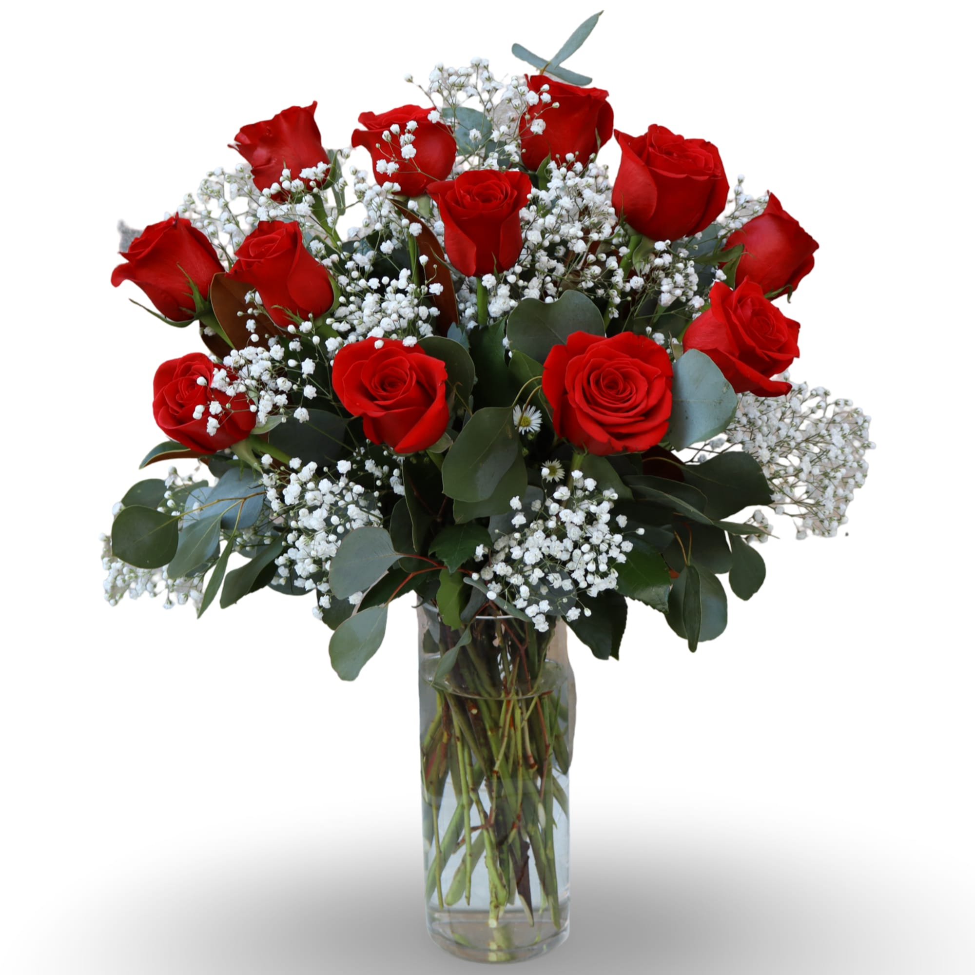 Red roses and white baby's breath in a clear glass vase
