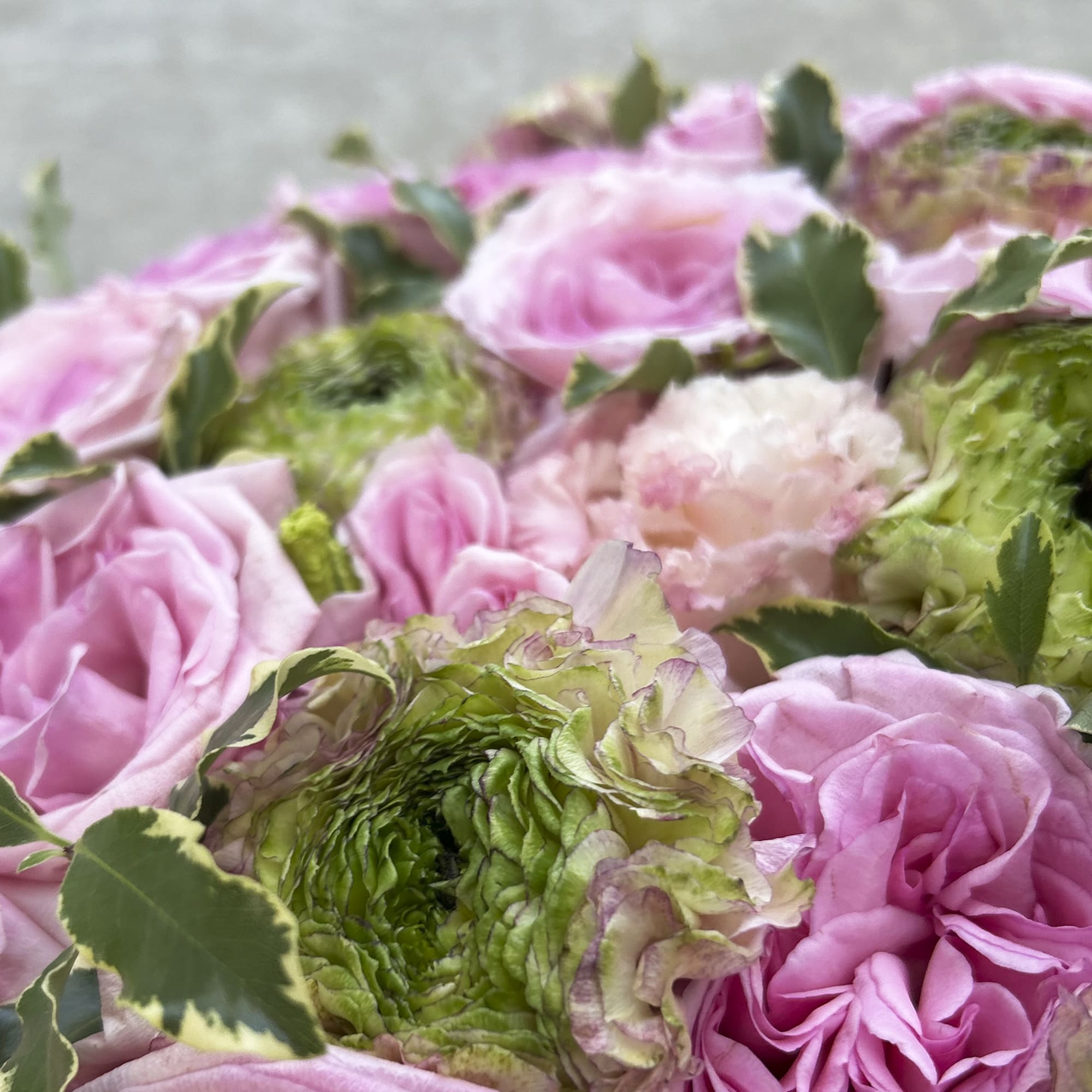 Pink roses and green ranunculus in a close-up bouquet