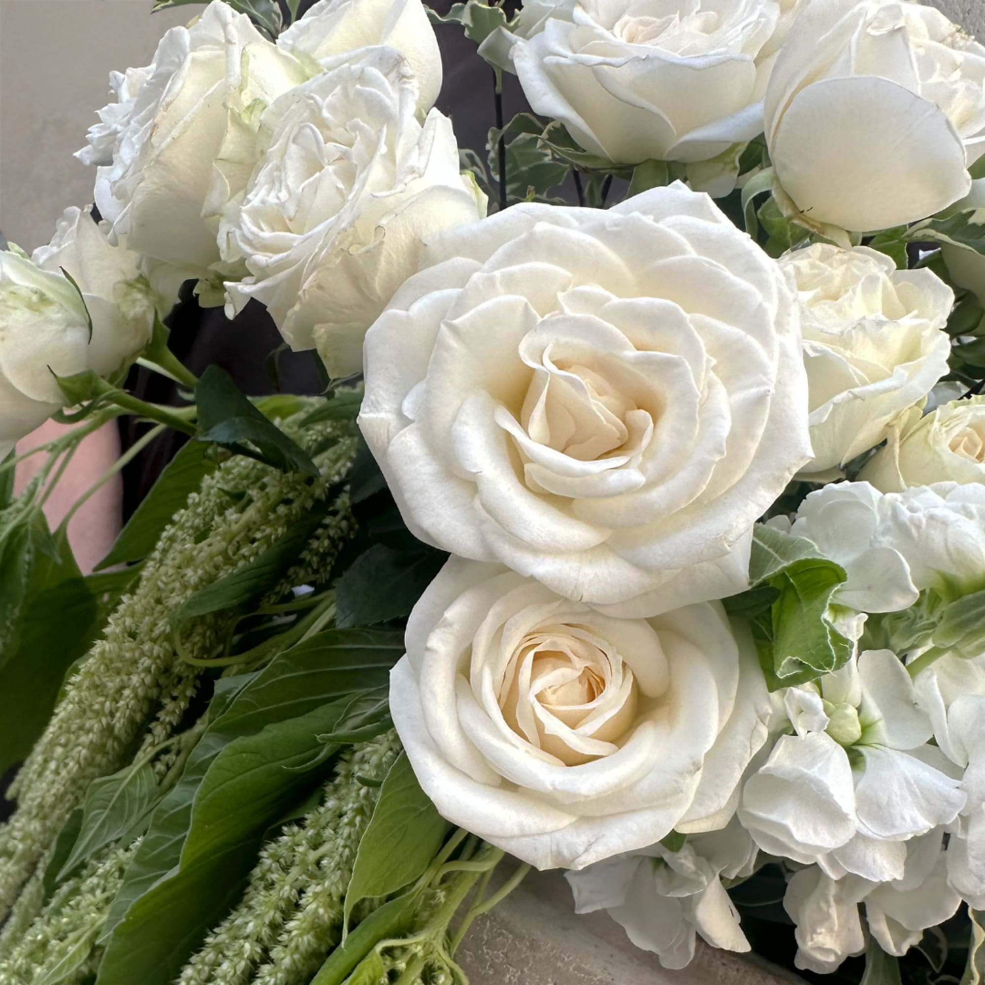 White roses and hydrangeas arranged with green filler