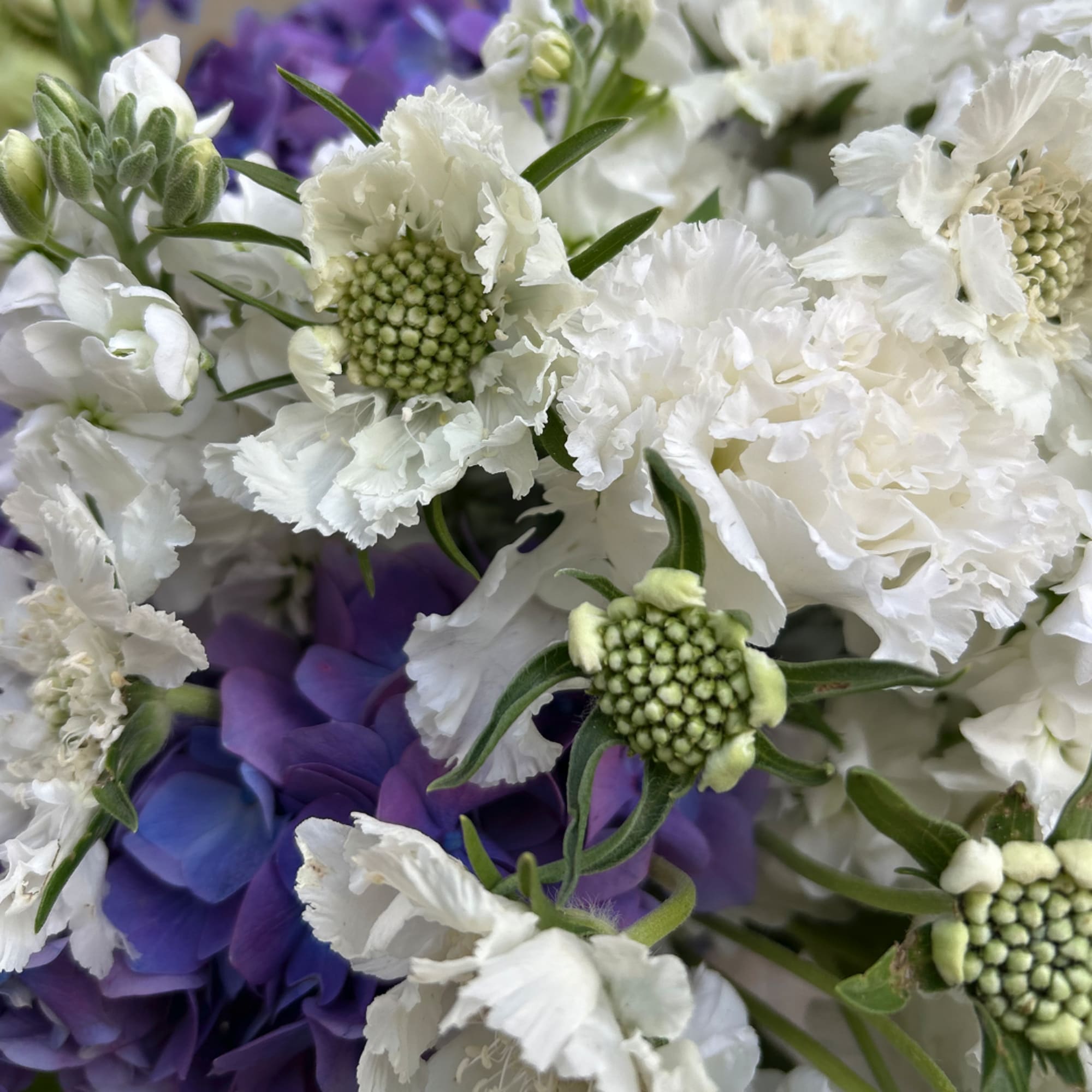 Close-up bouquet of white and purple flowers