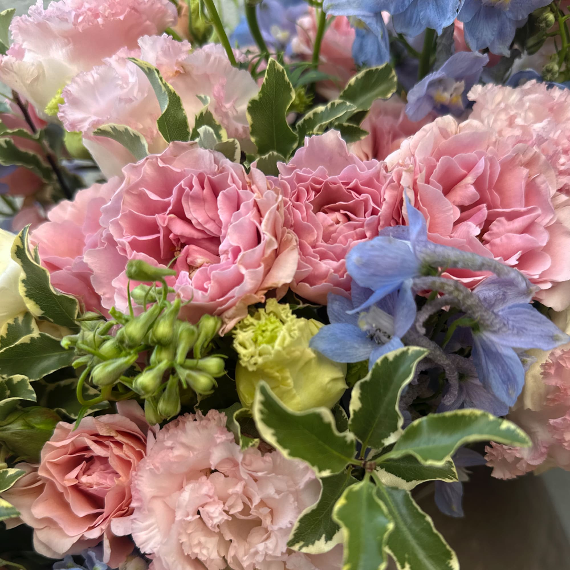 Pink and blue mixed bouquet with ruffled blooms and variegated leaves