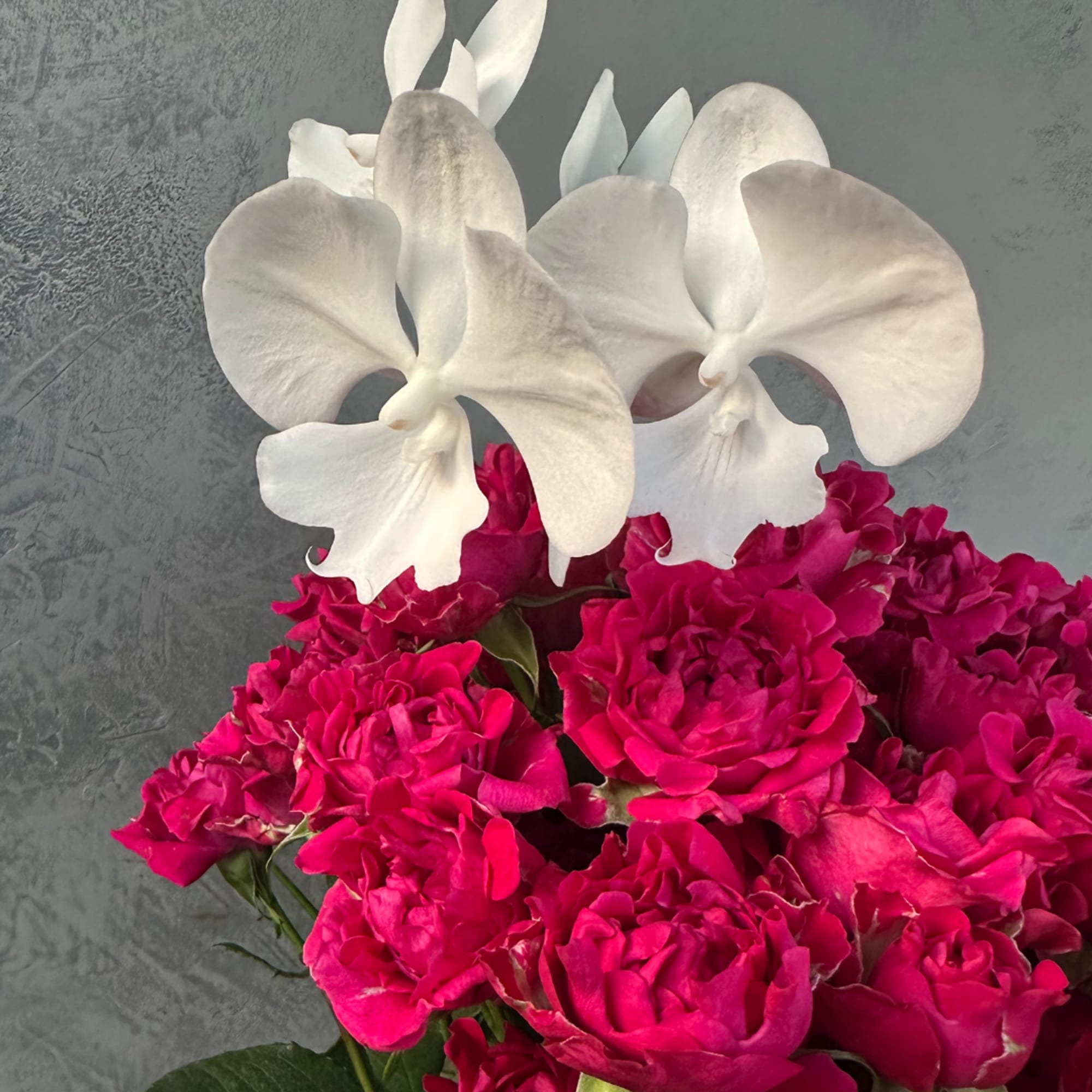 White orchids above a cluster of bright pink roses